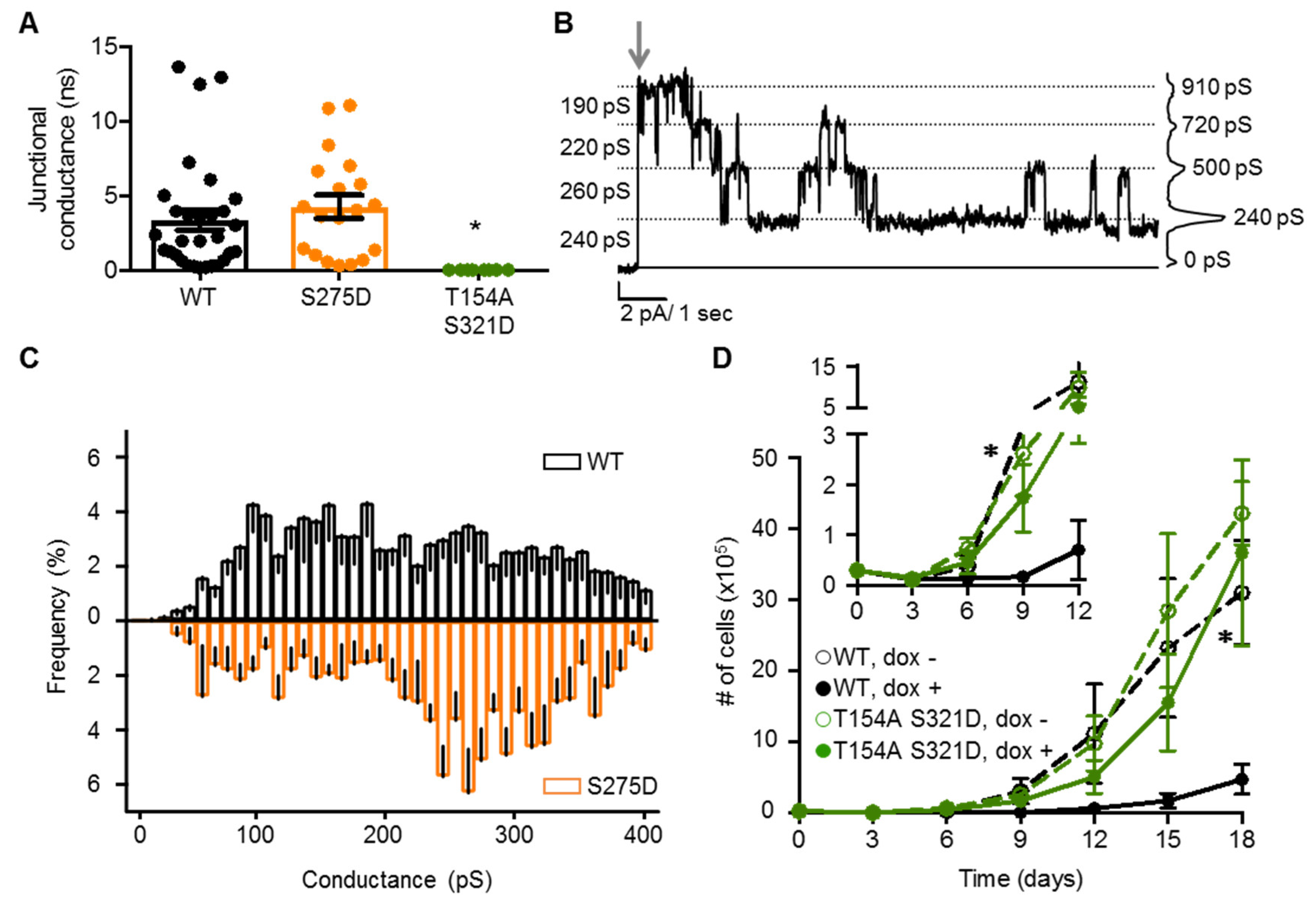 Cancers 11 00188 g007 550