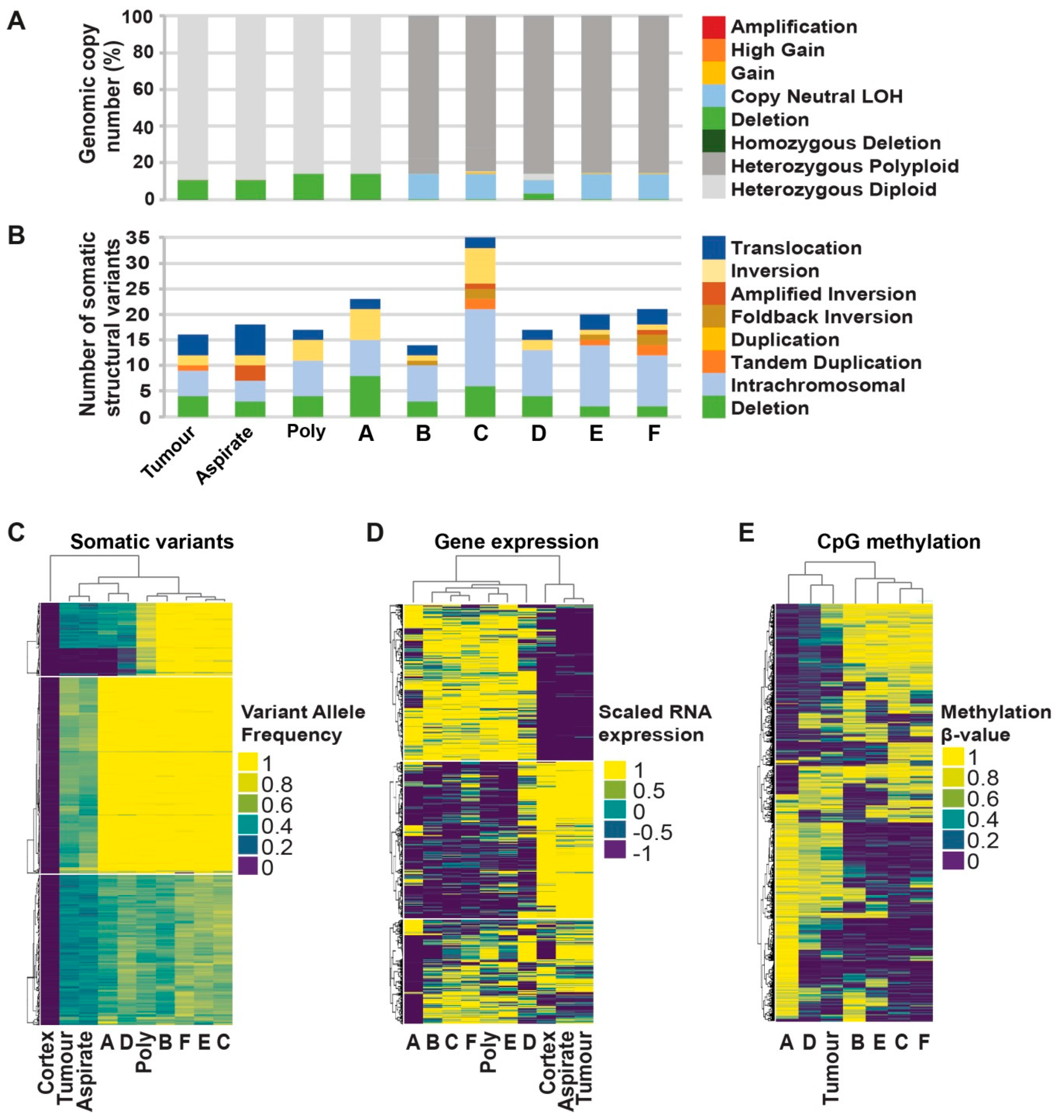 Cancers 11 00190 g003 550