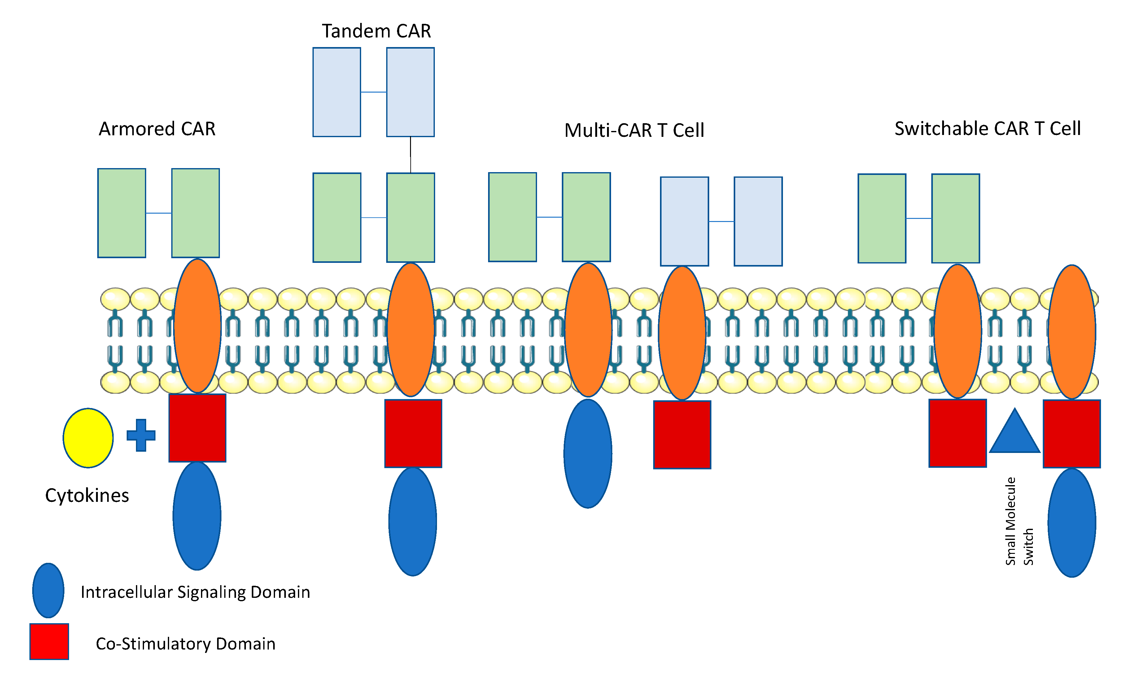 Cancers 11 00191 g002