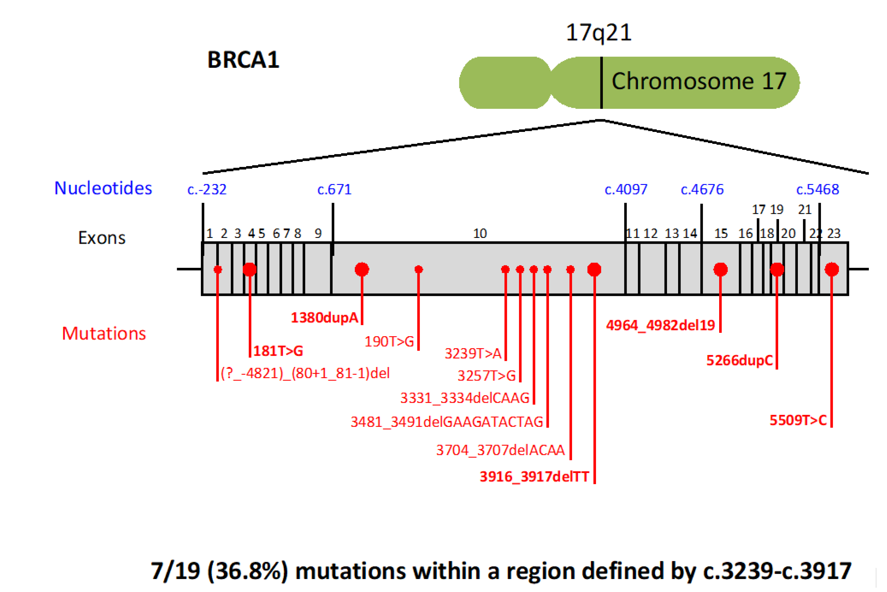 Cancers 11 00193 g002