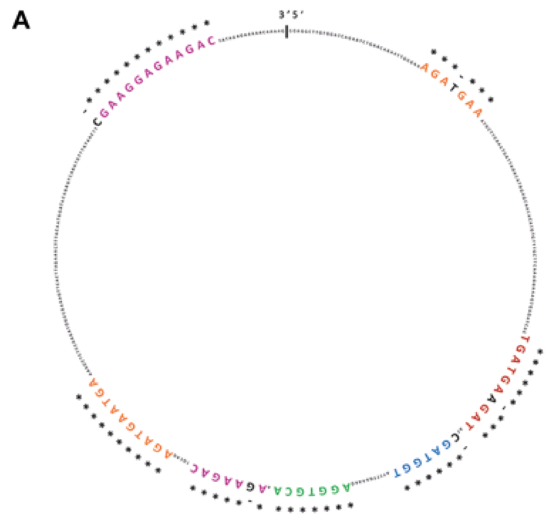 Cancers 11 00194 g001a
