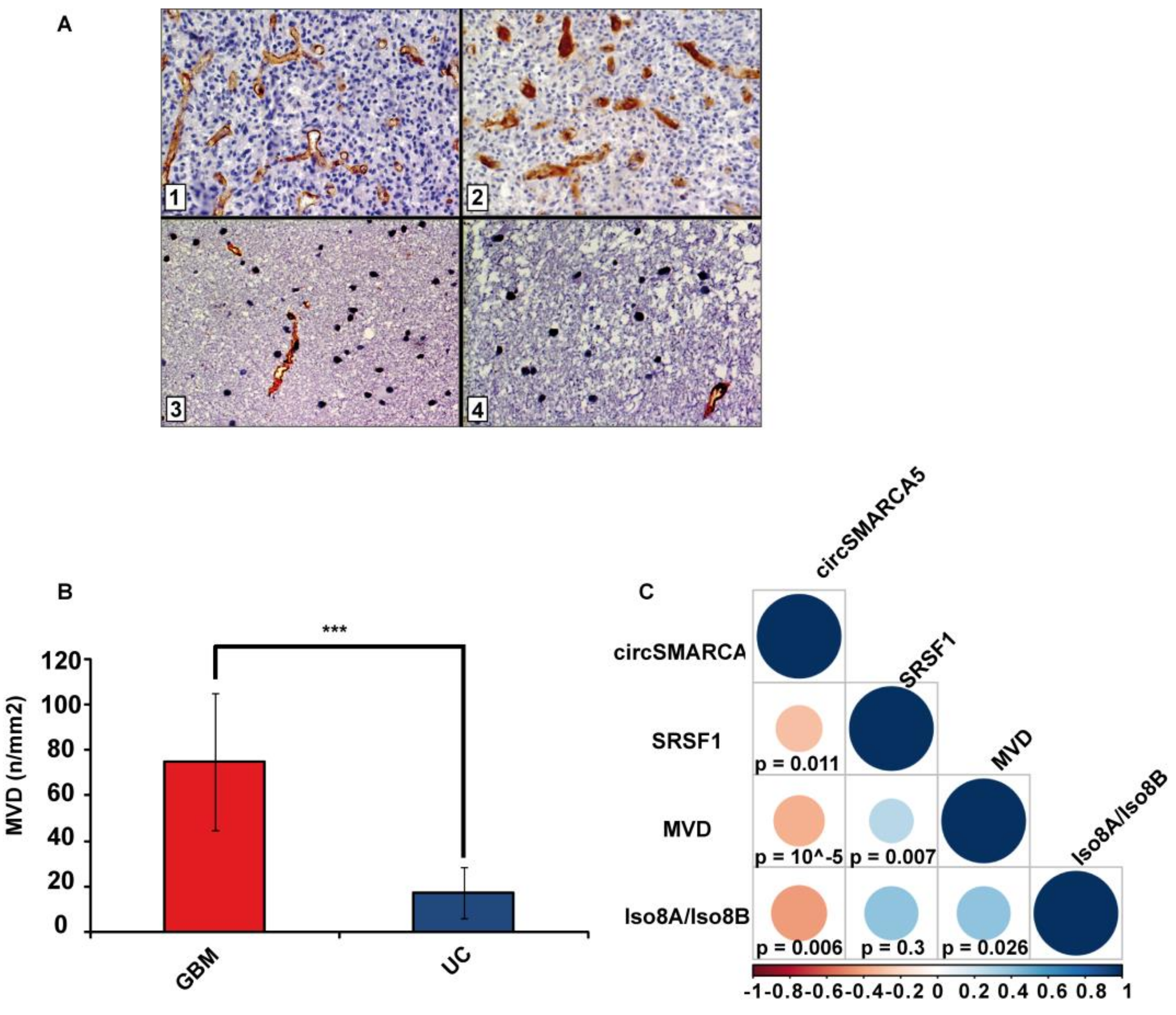 Cancers 11 00194 g004