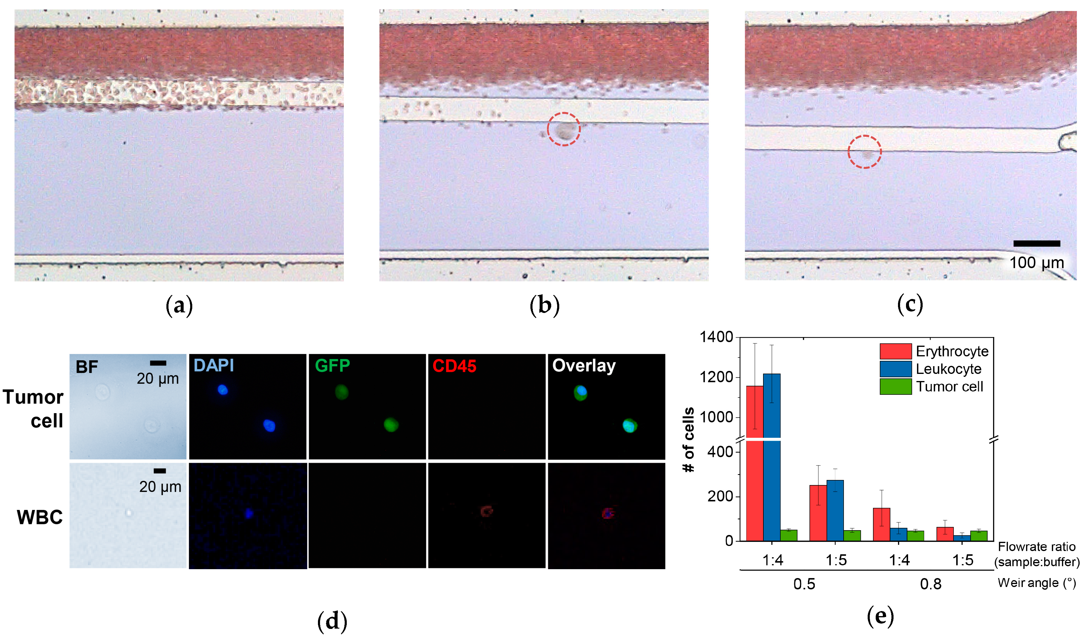 Cancers 11 00200 g005 550