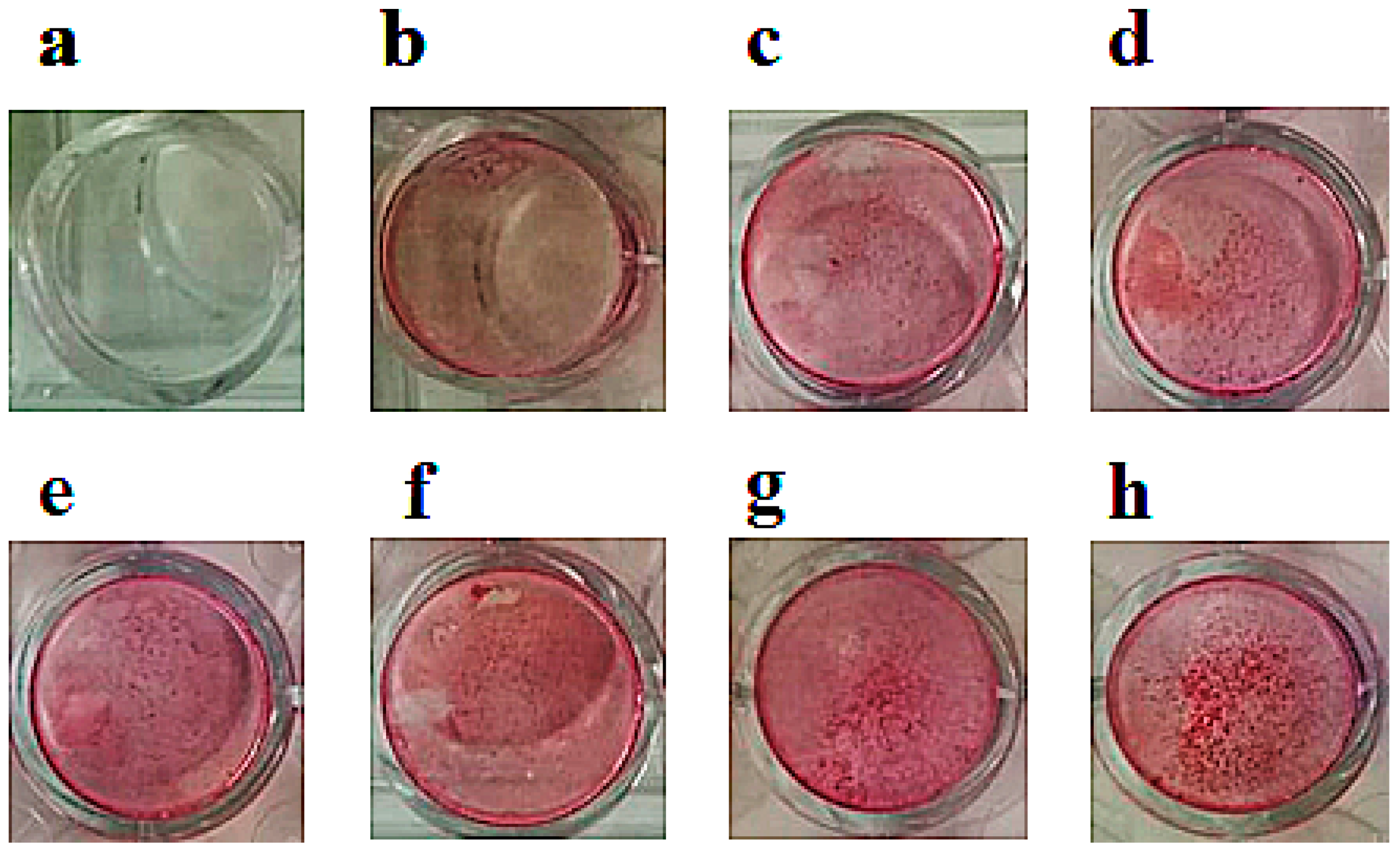 Cancers 11 00206 g003 Cancers 11 00206 g003