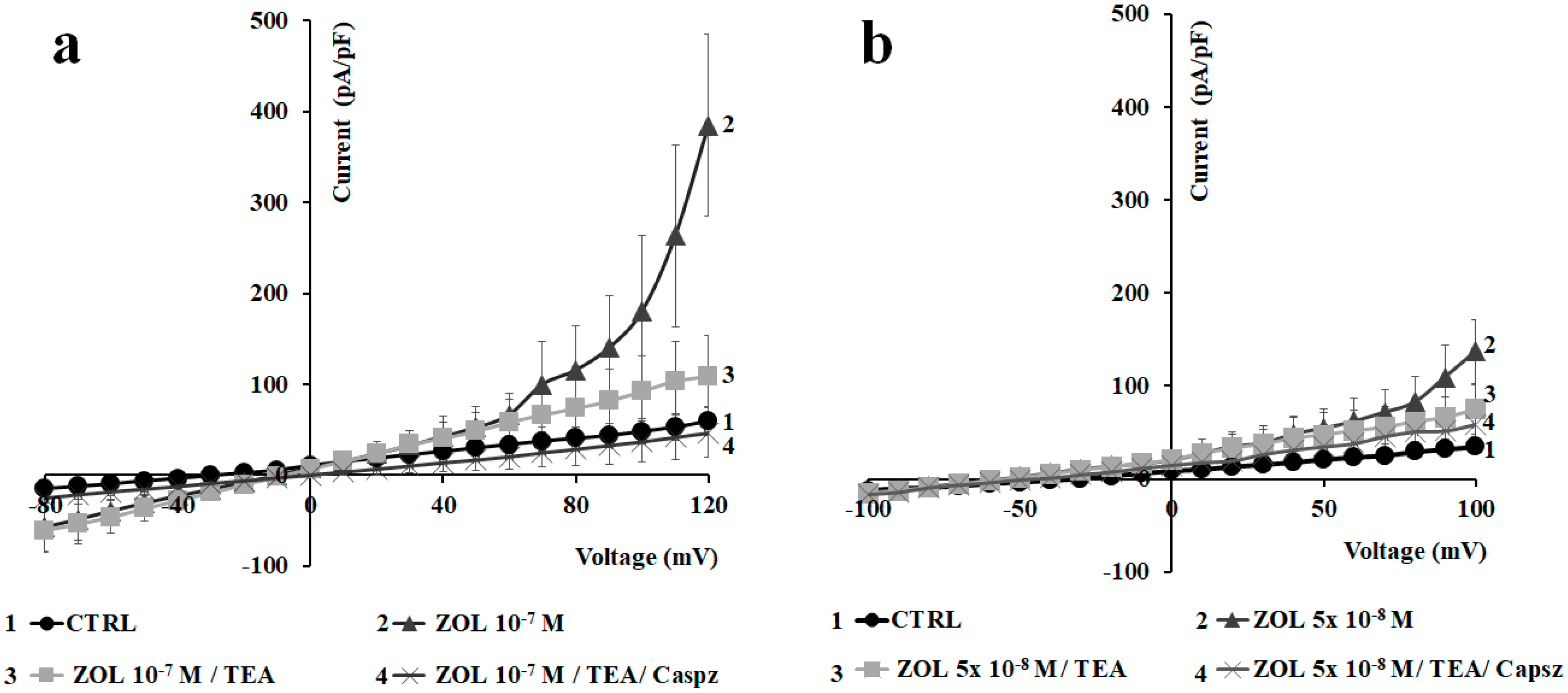 Cancers 11 00206 g006 Cancers 11 00206 g006