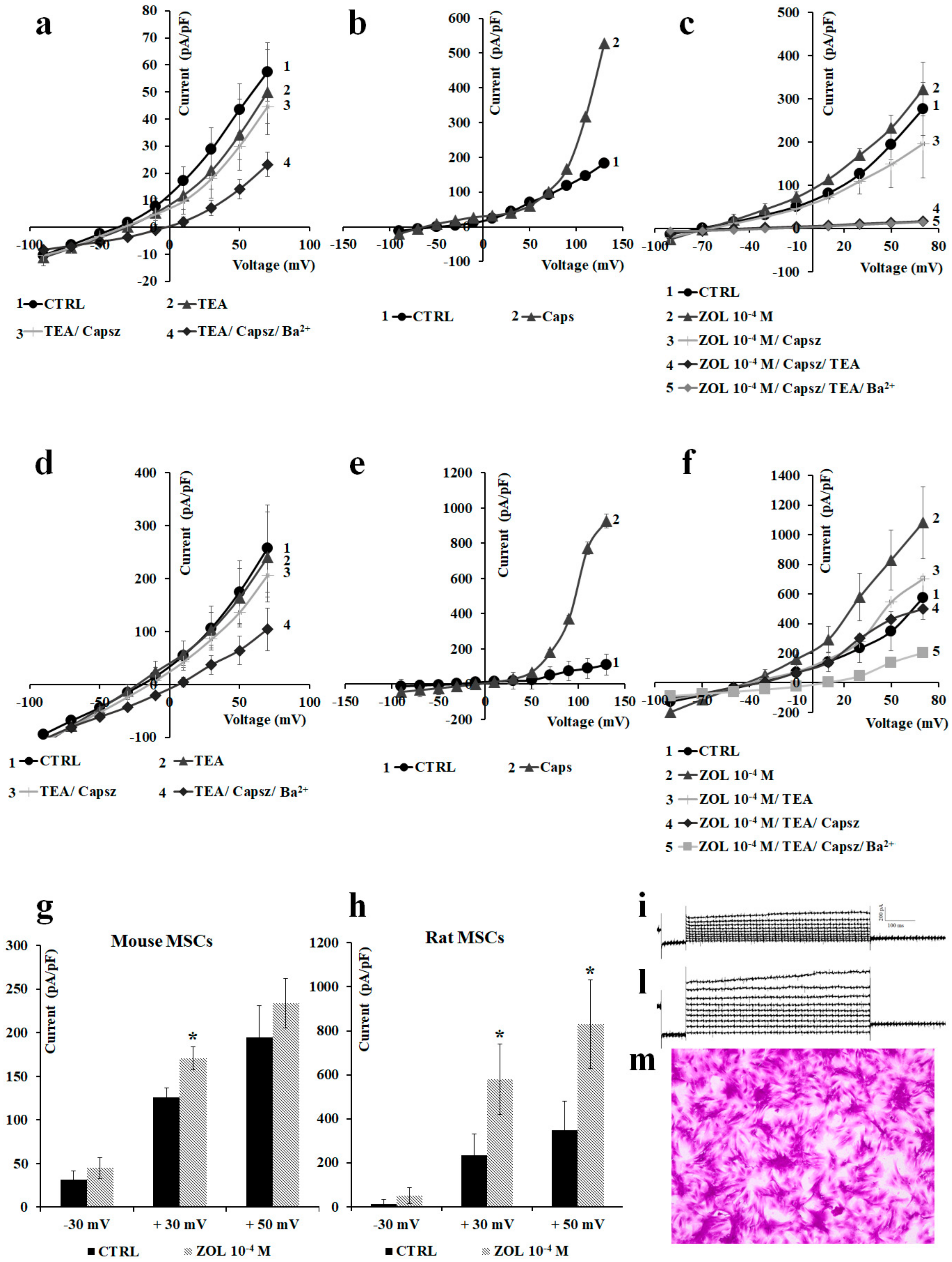 Cancers 11 00206 g007 Cancers 11 00206 g007