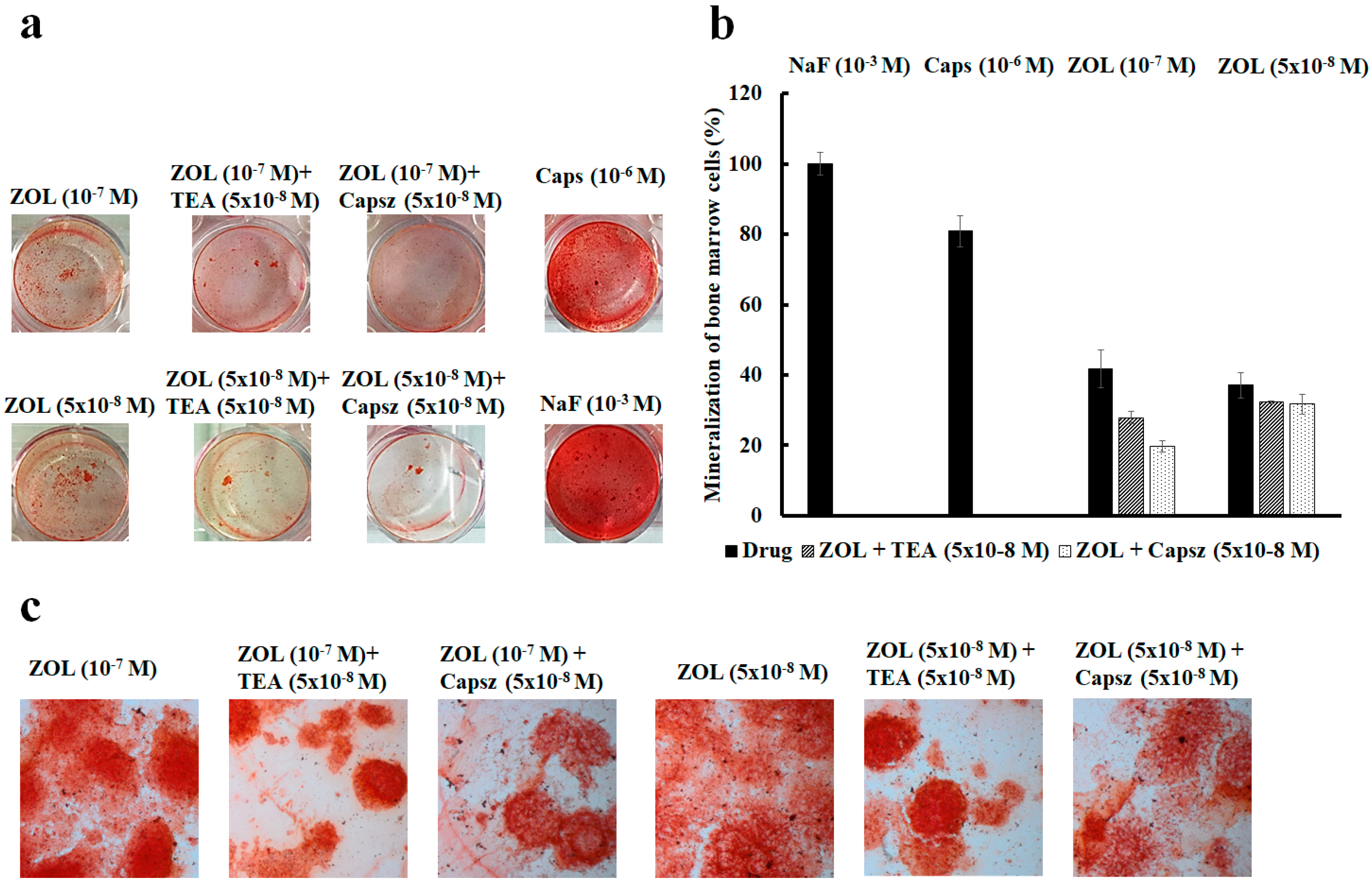 Cancers 11 00206 g008 Cancers 11 00206 g008