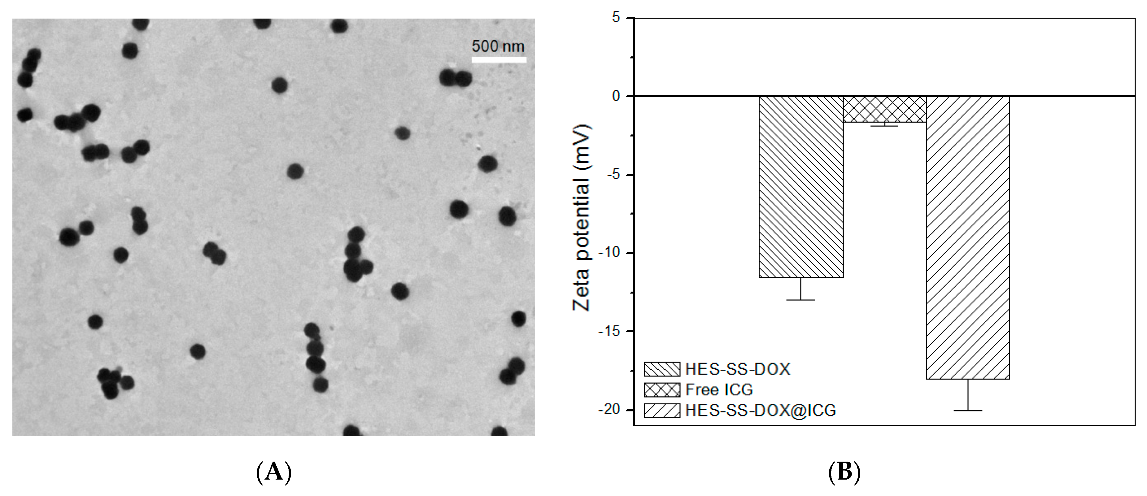 Cancers 11 00207 g001a 550