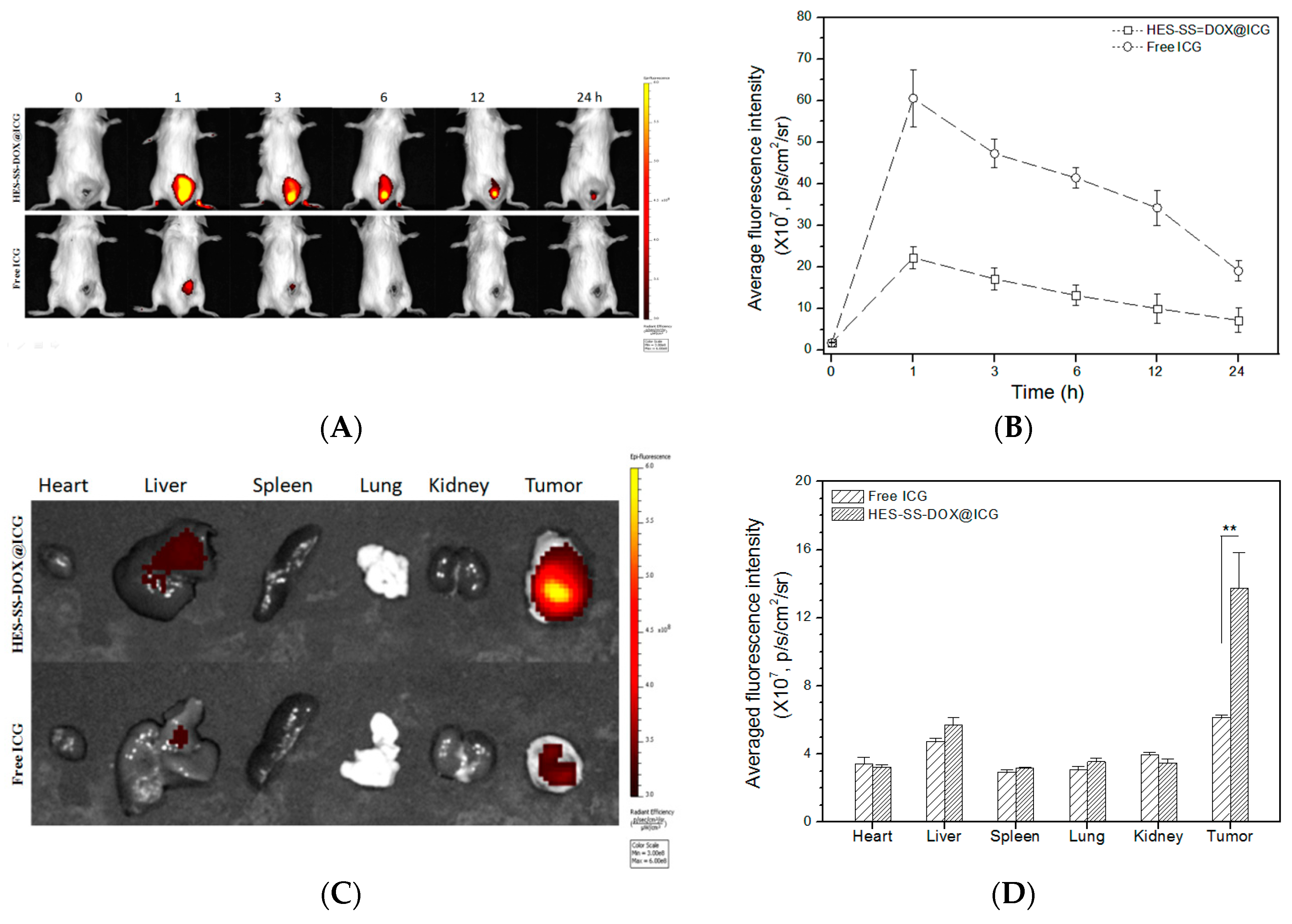 Cancers 11 00207 g005 550