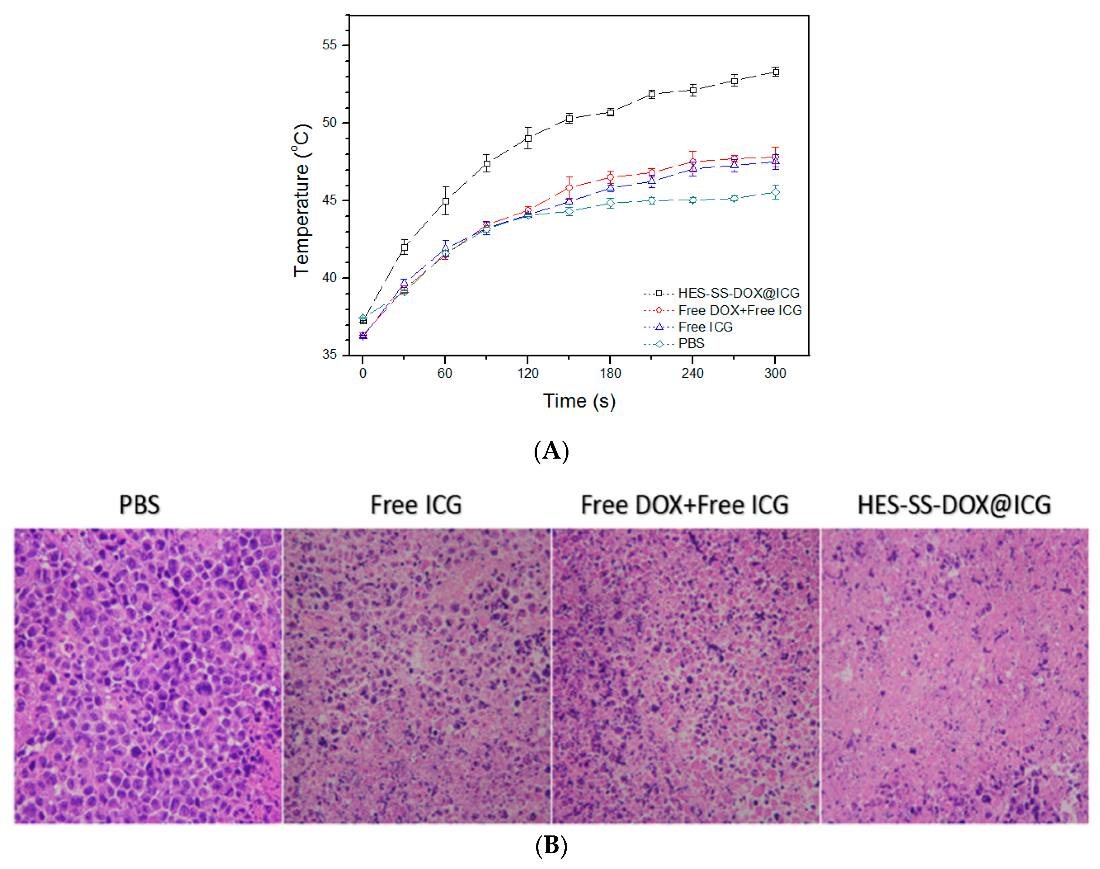 Cancers 11 00207 g006 550