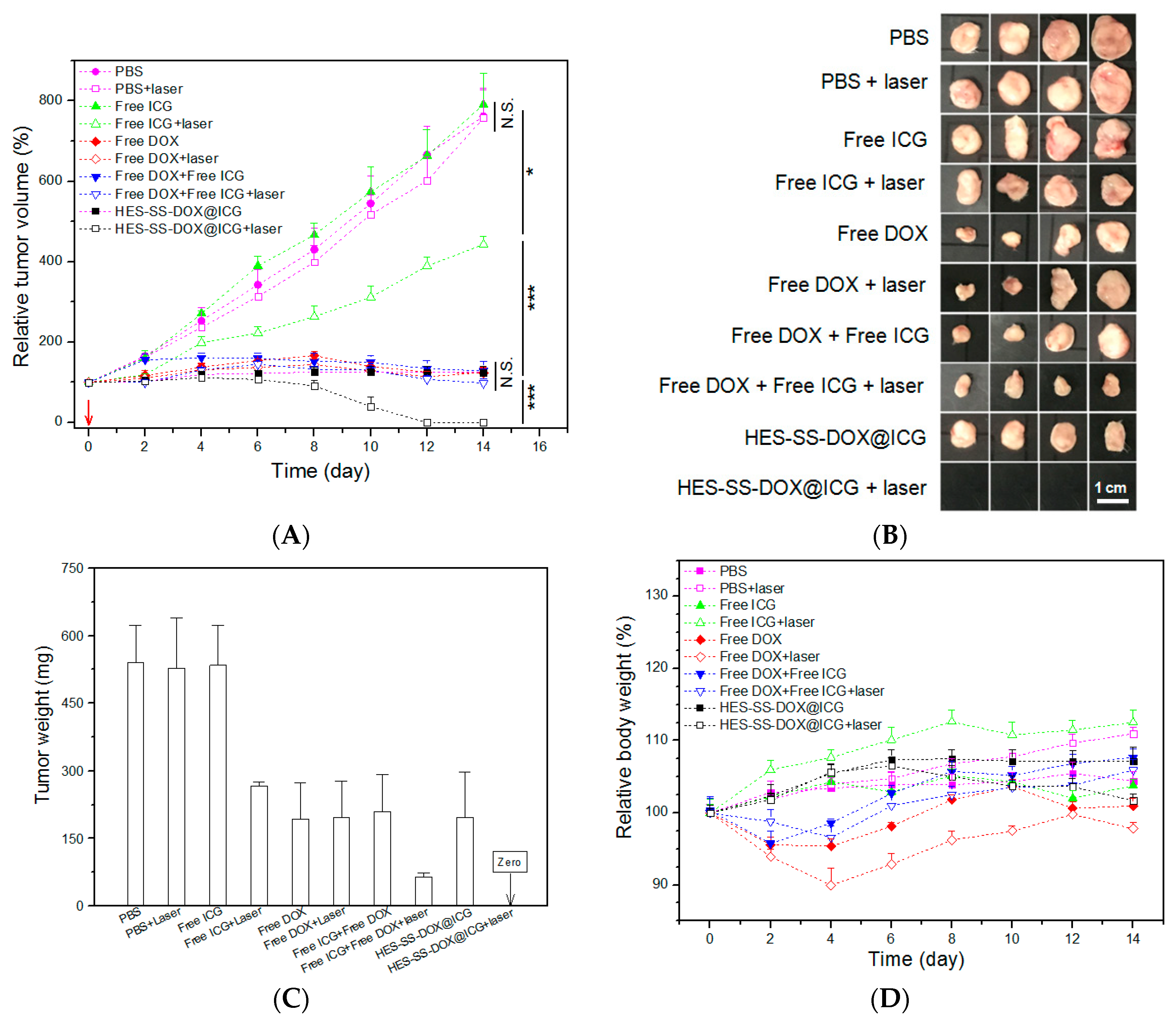 Cancers 11 00207 g007 550