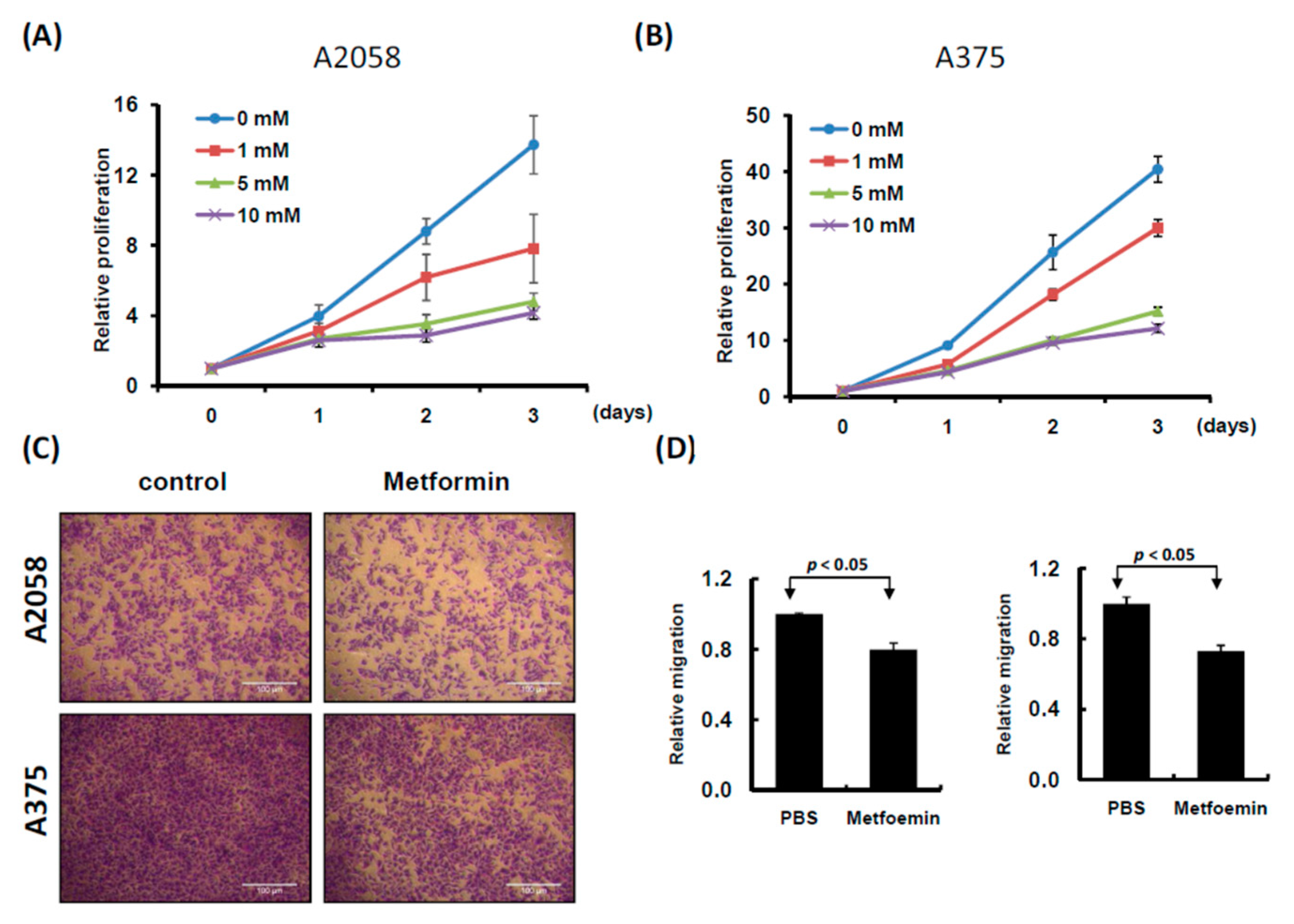 Cancers 11 00209 g001