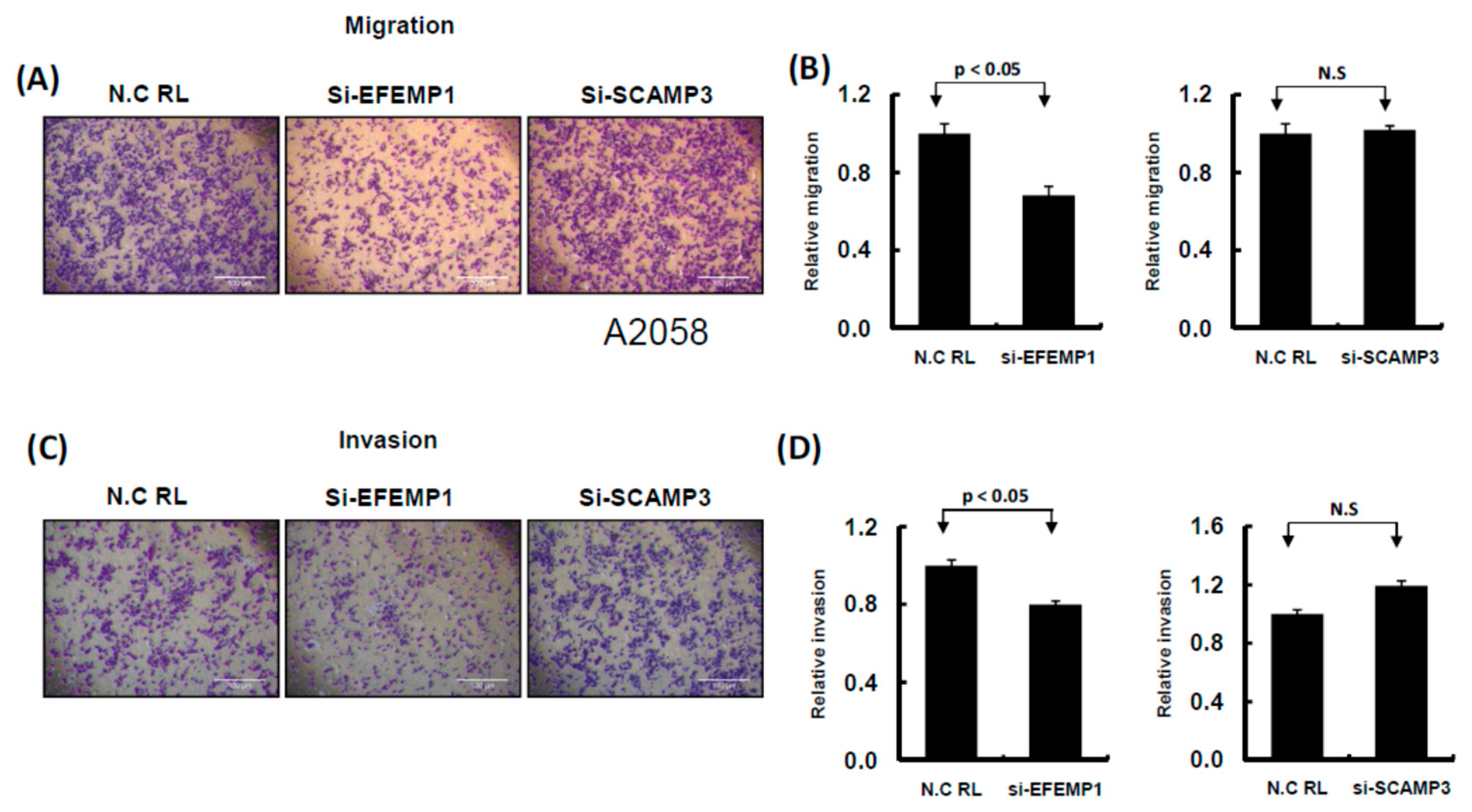 Cancers 11 00209 g010
