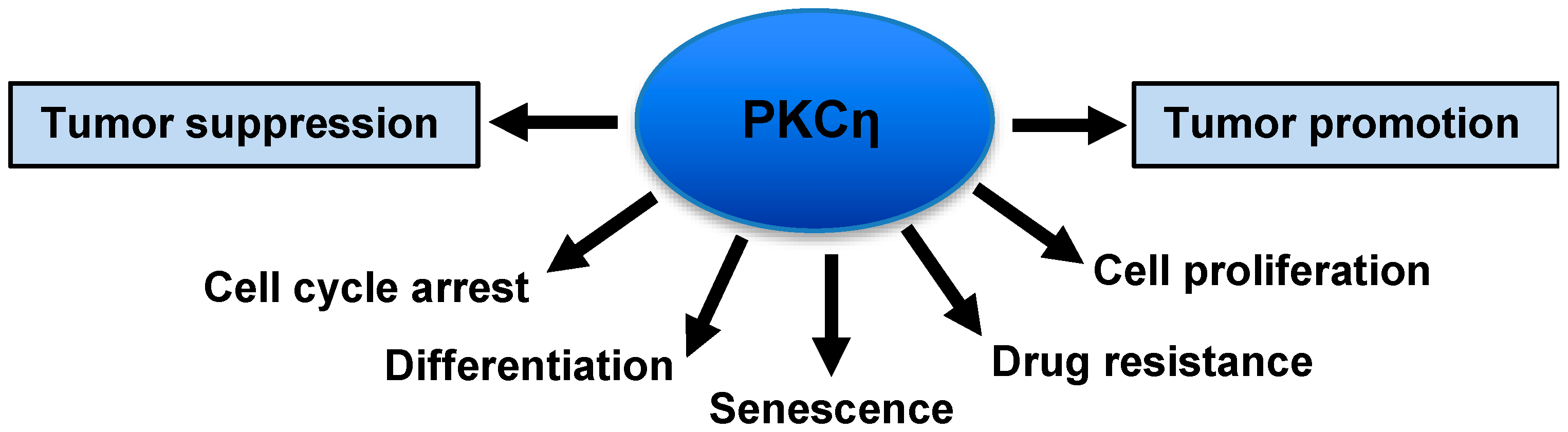 Cancers 11 00214 g001 Cancers 11 00214 g001