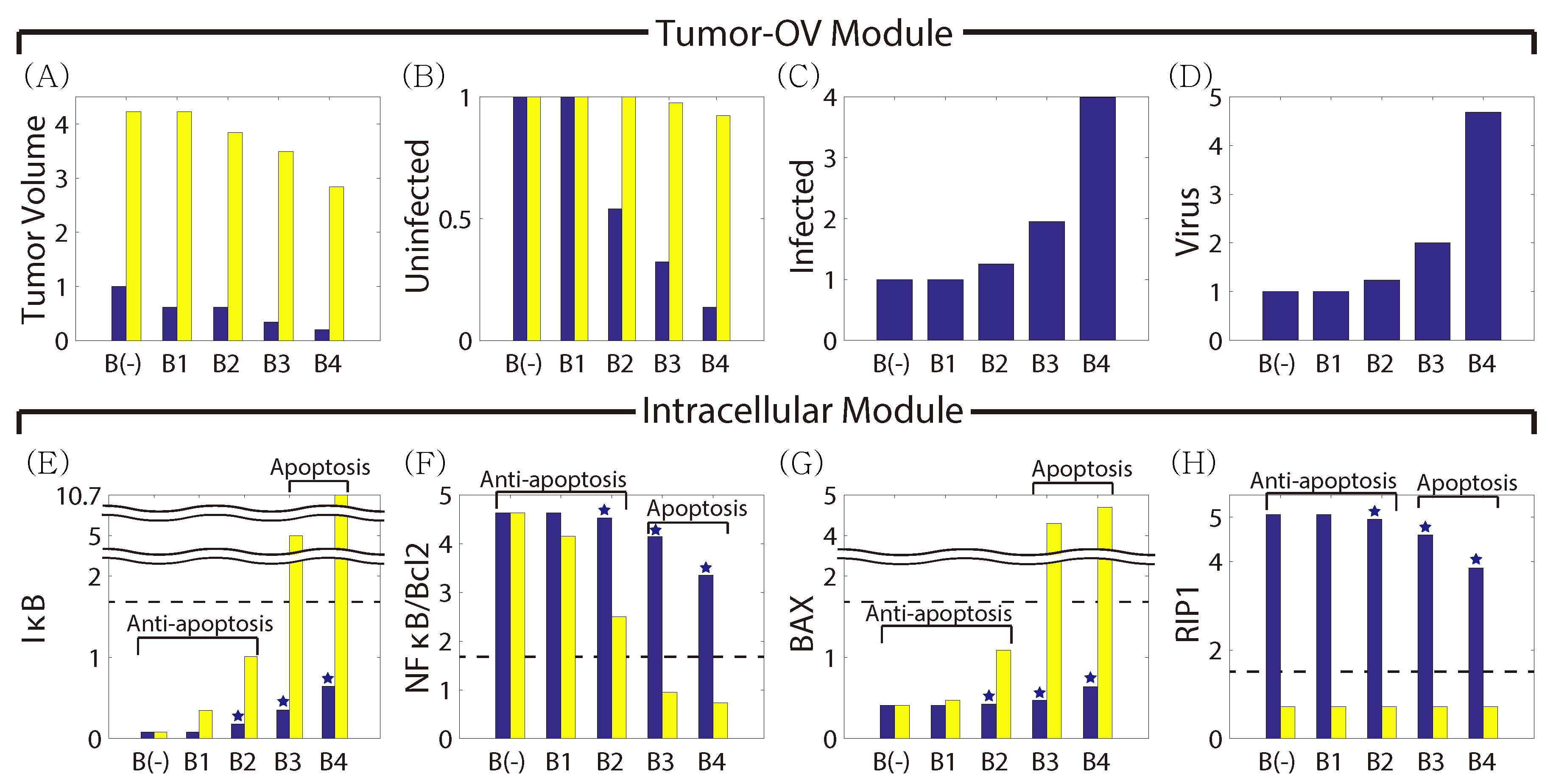 Cancers 11 00215 g007 550