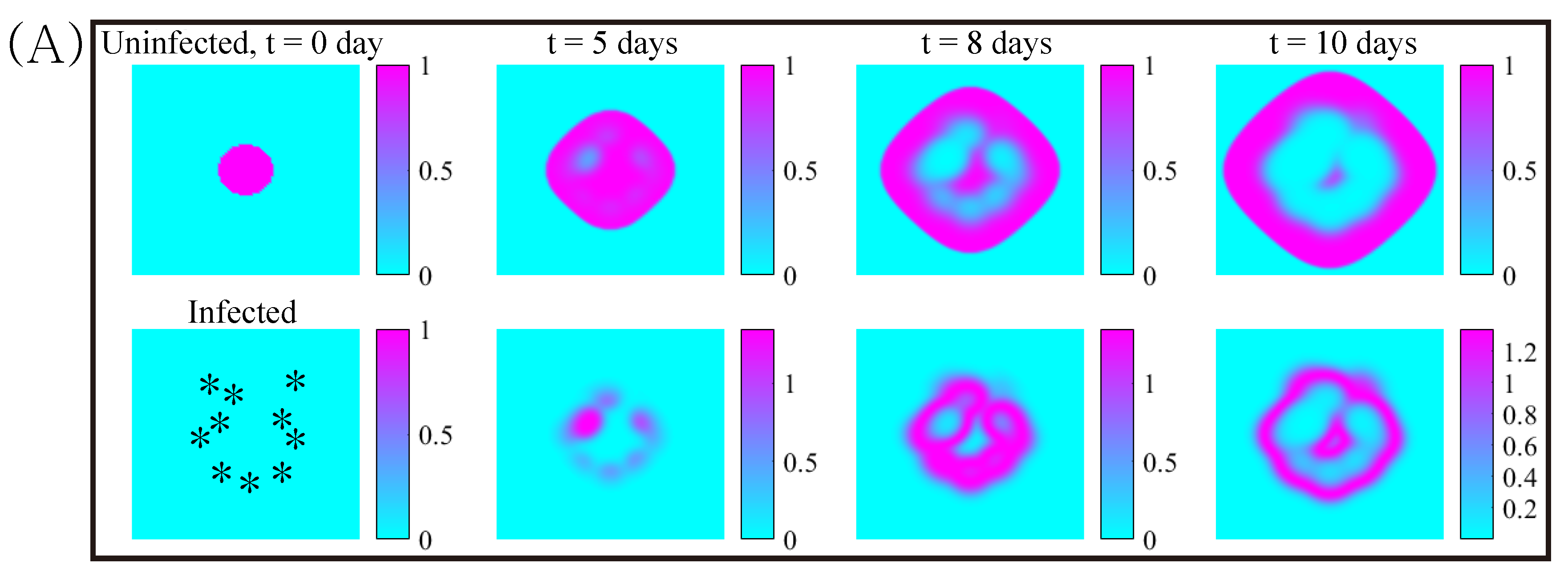 Cancers 11 00215 g008a 550