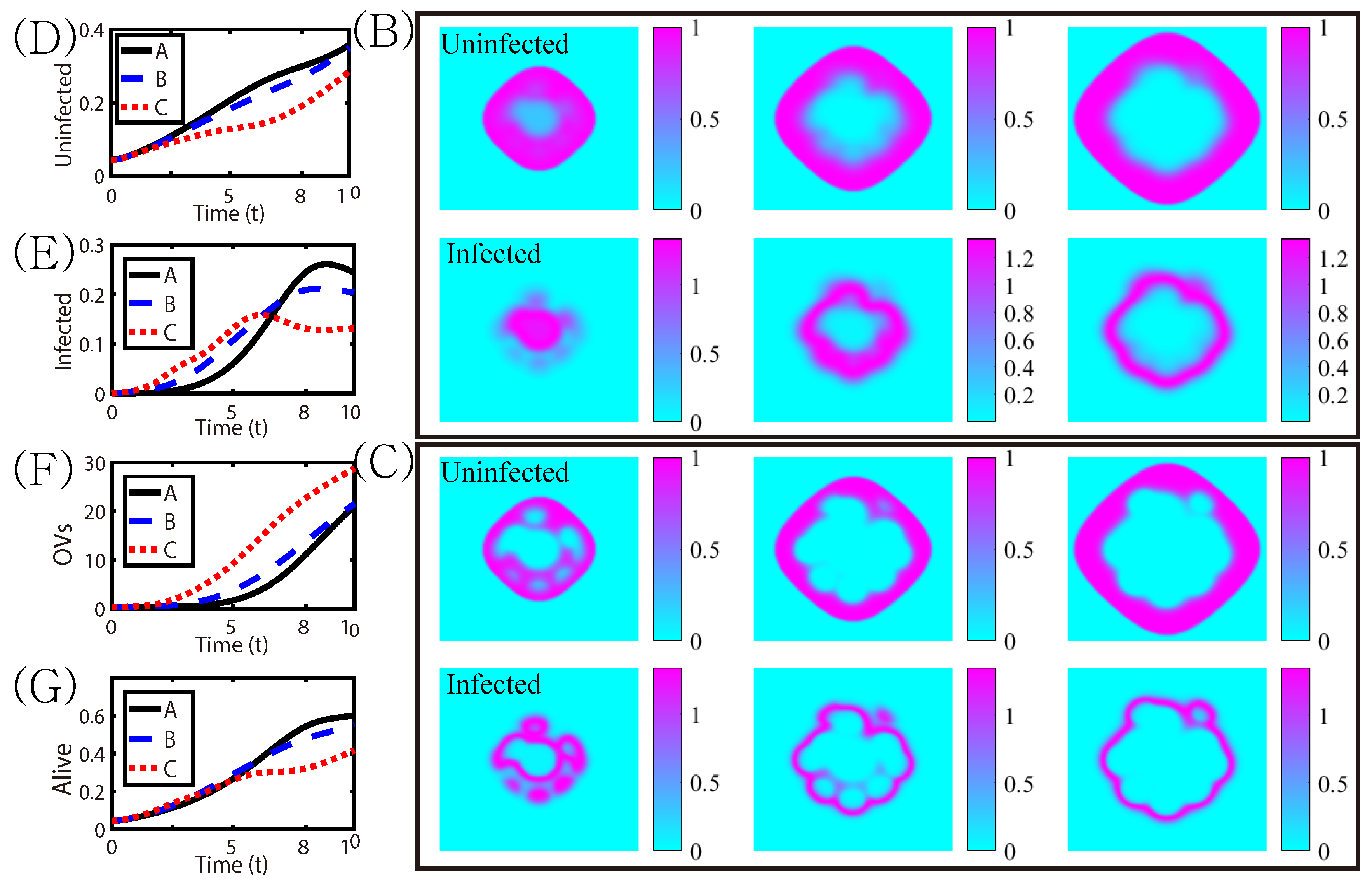Cancers 11 00215 g008b 550