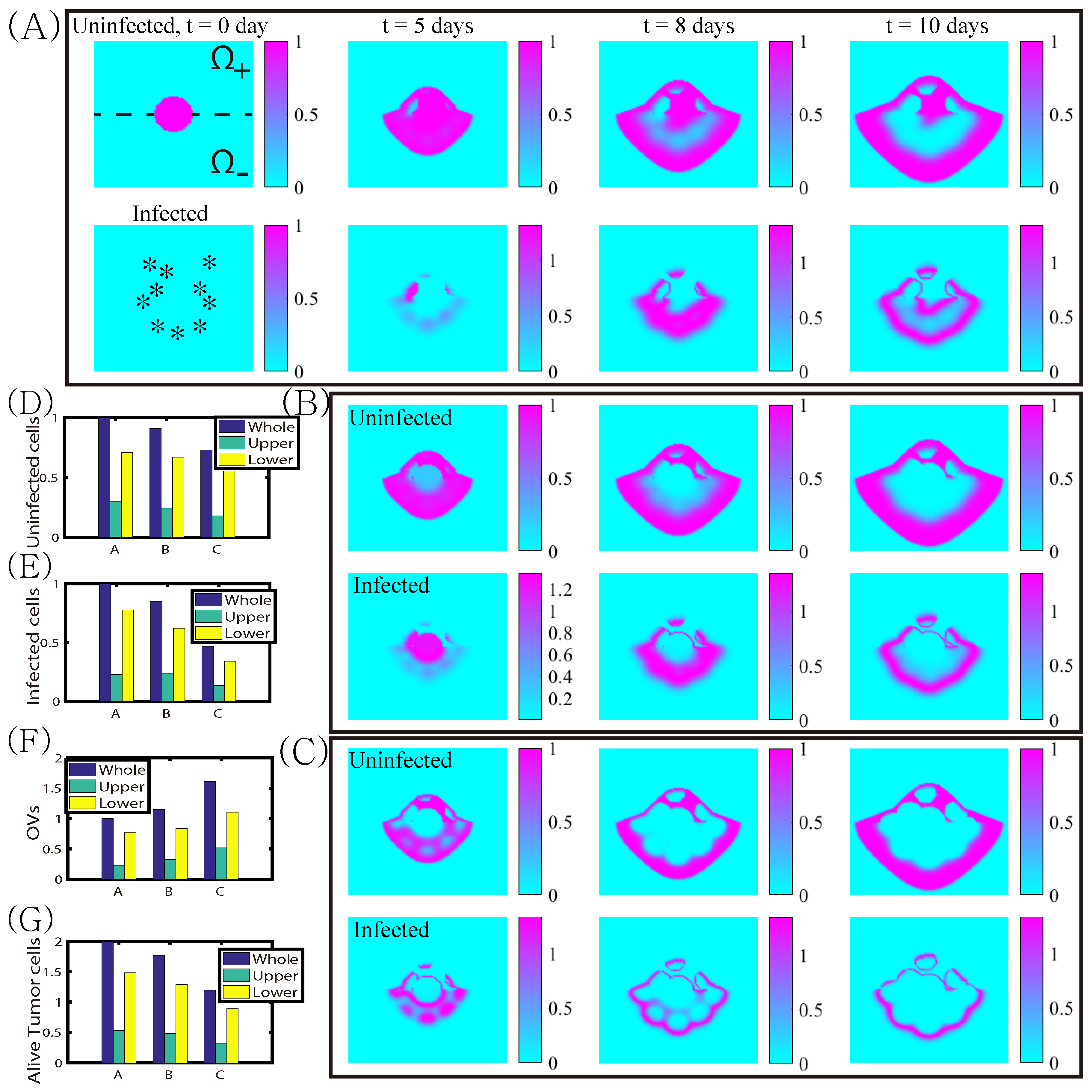 Cancers 11 00215 g009 550