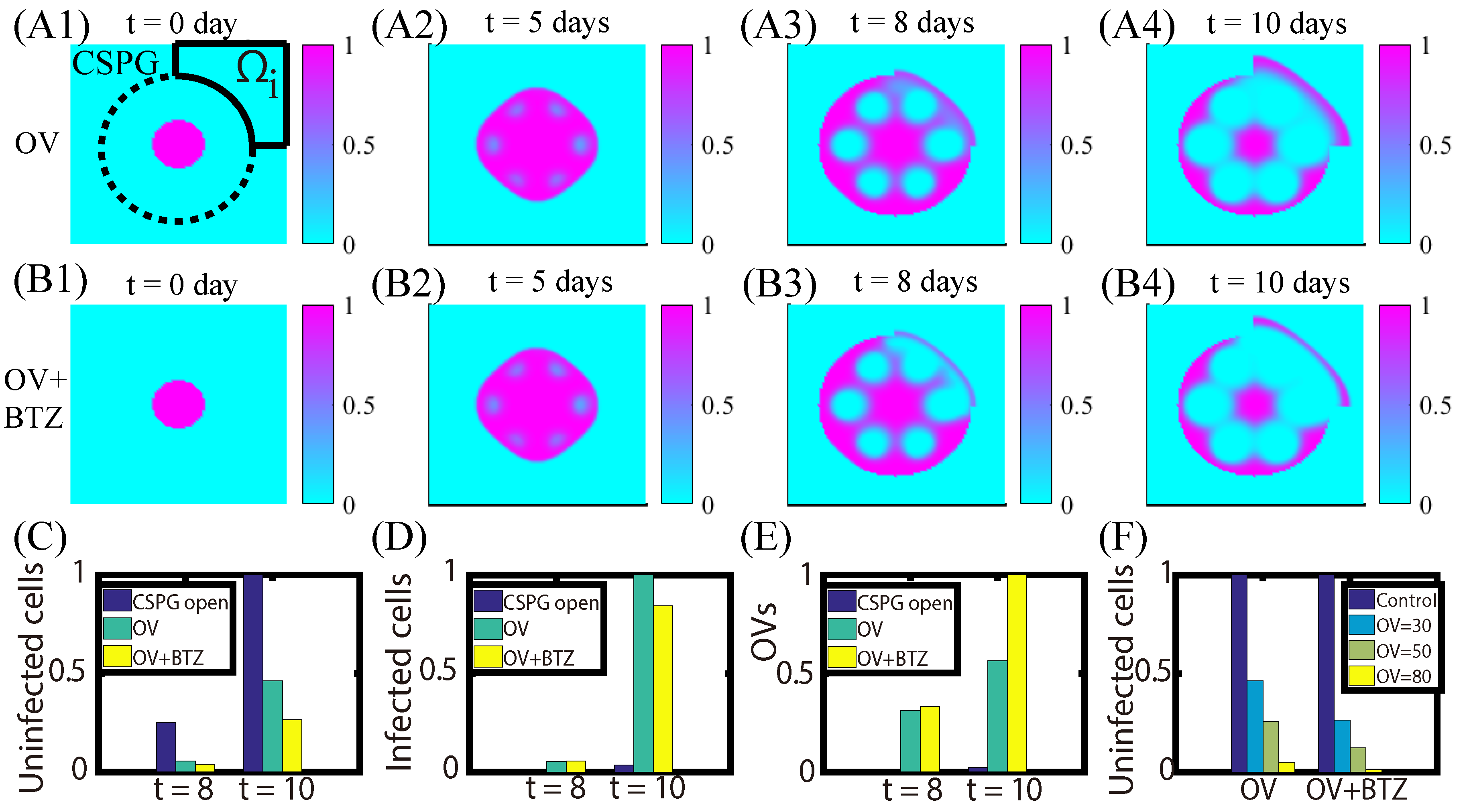 Cancers 11 00215 g011 550