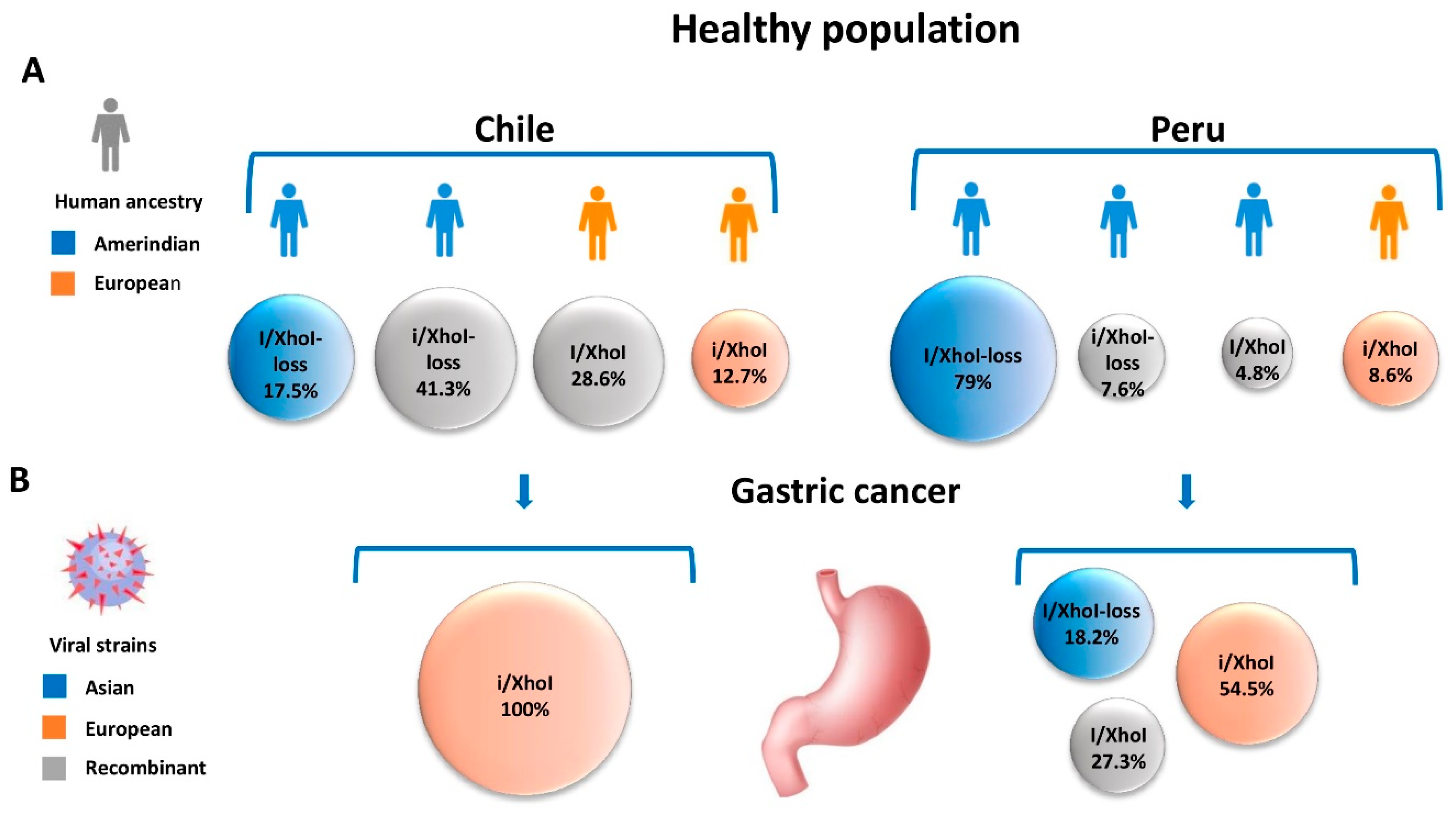 Cancers 11 00217 g002