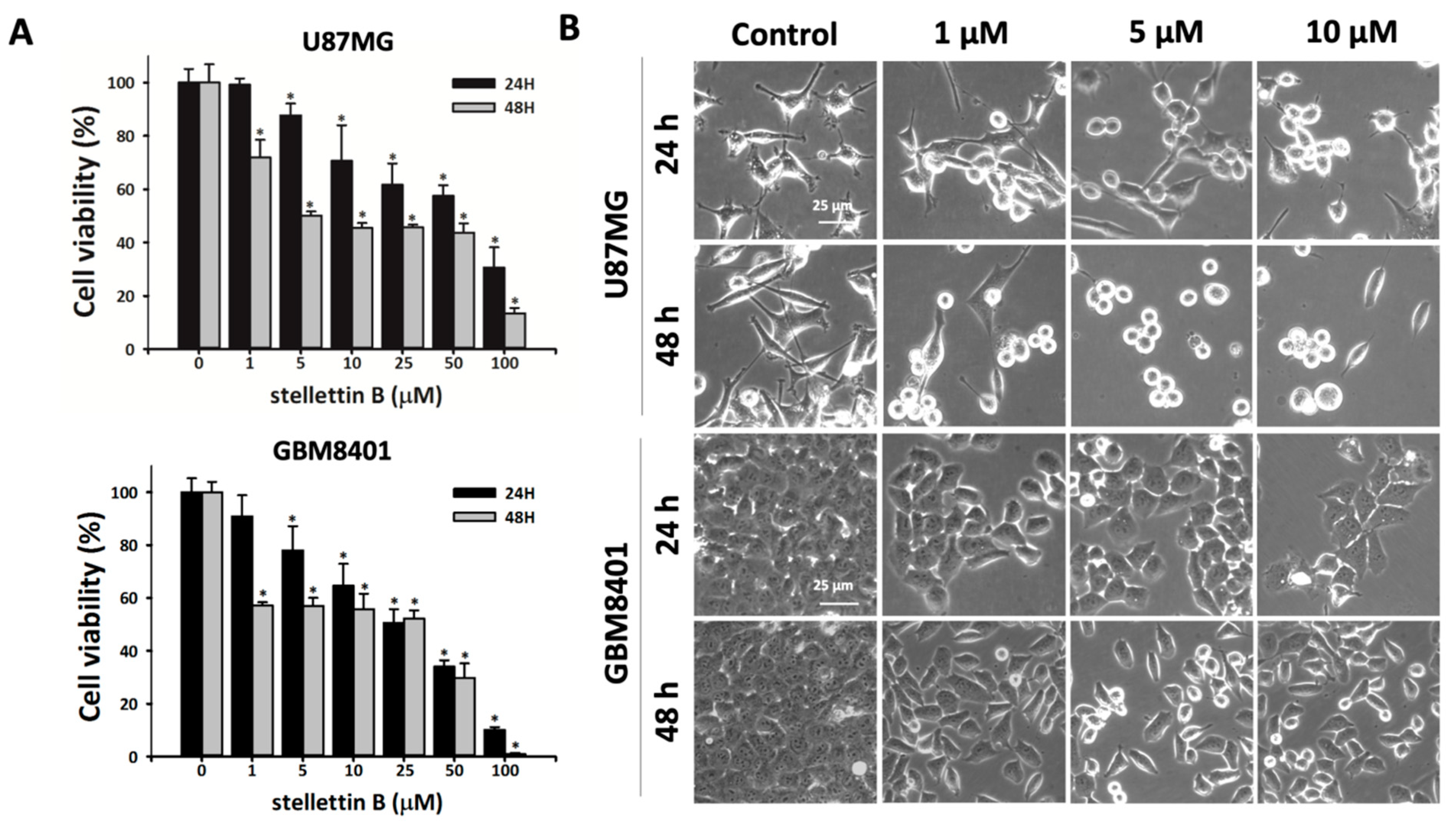 Cancers 11 00220 g001 Cancers 11 00220 g001