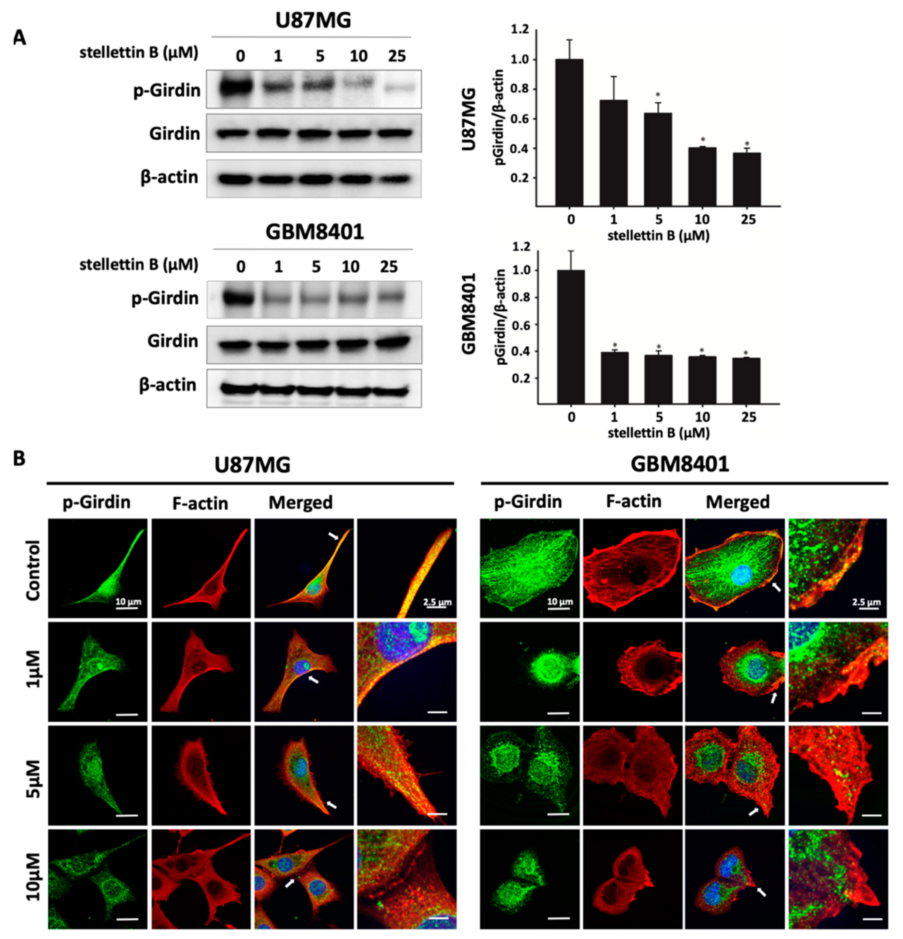 Cancers 11 00220 g004 Cancers 11 00220 g004