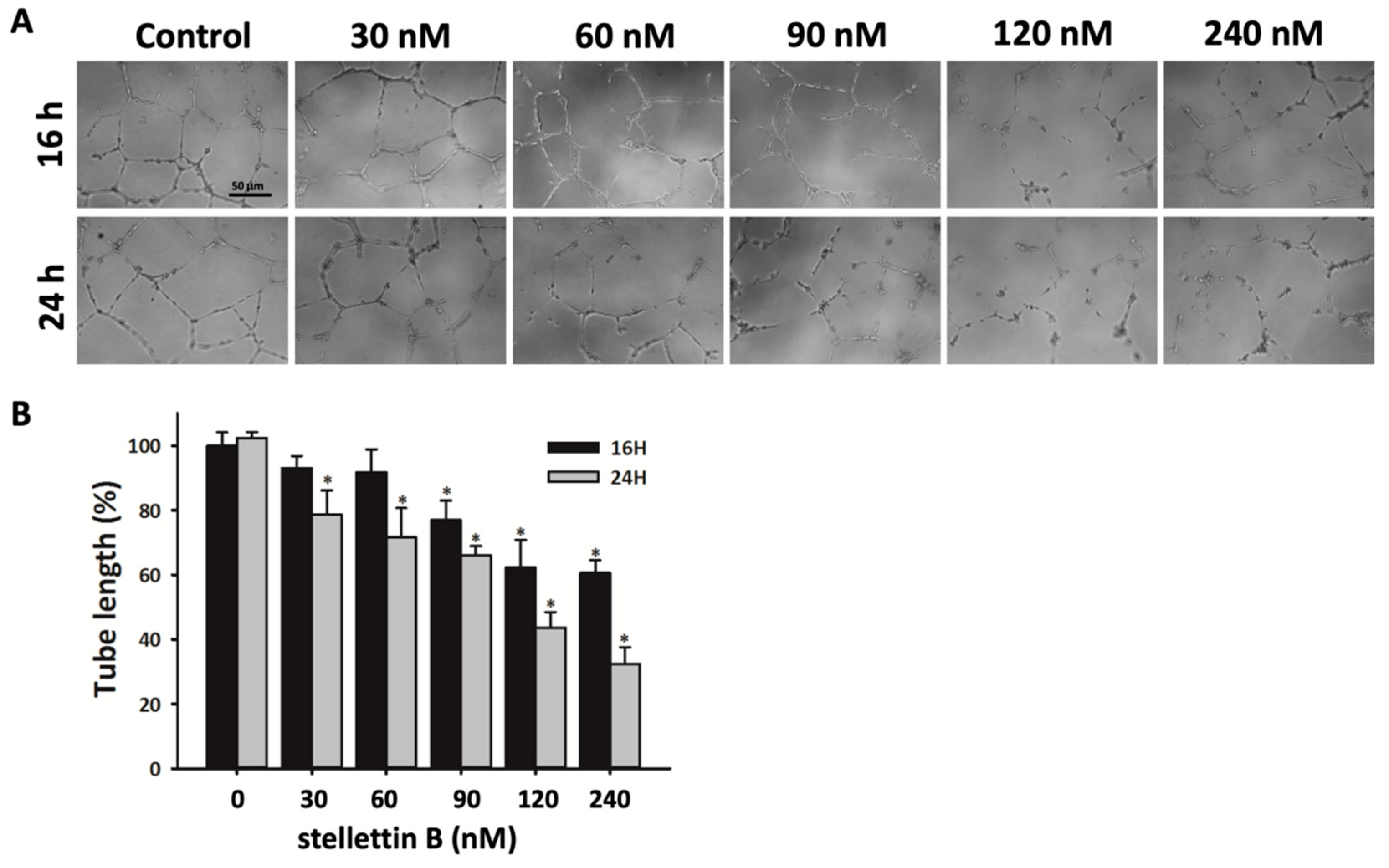 Cancers 11 00220 g006 Cancers 11 00220 g006