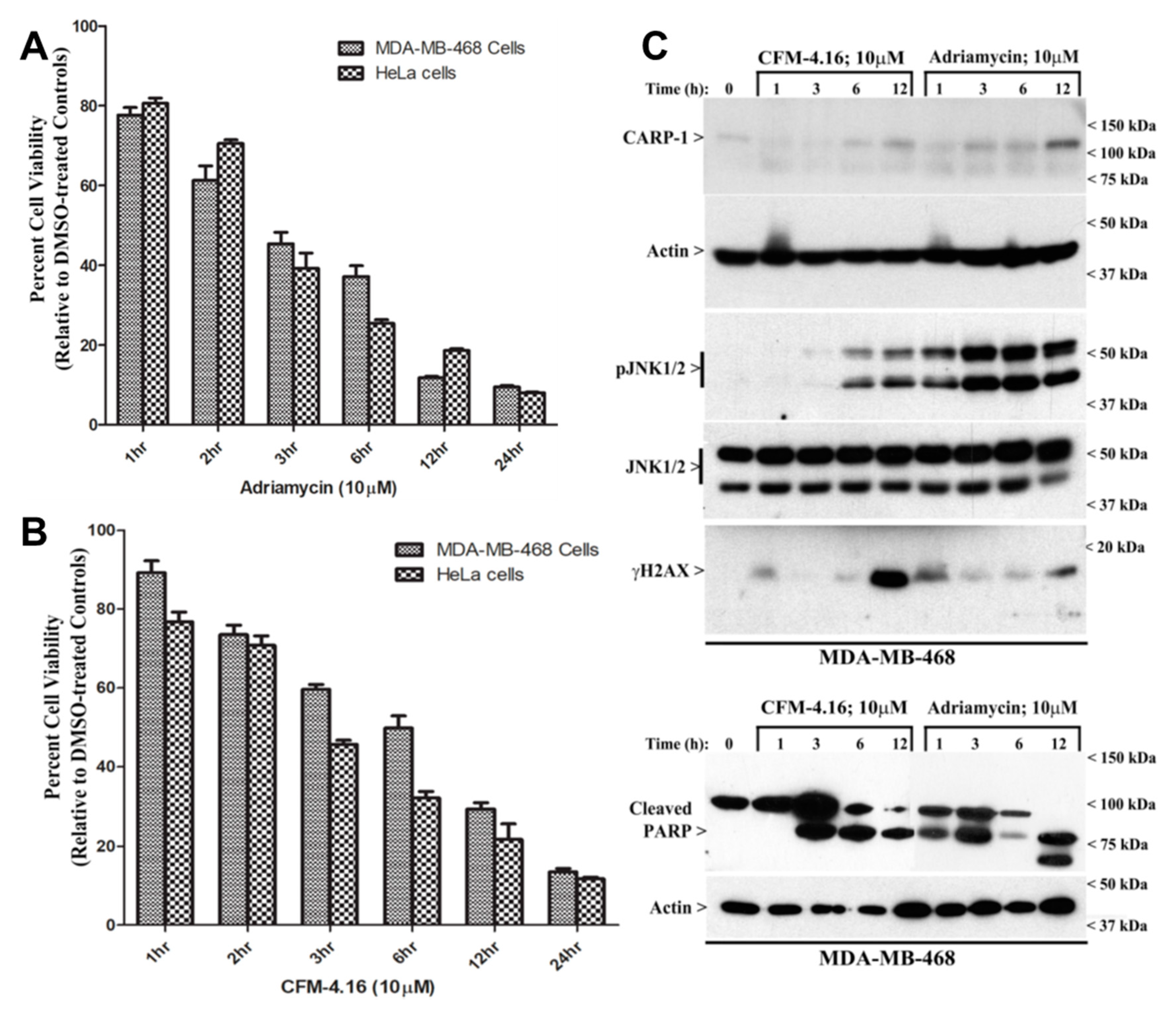 Cancers 11 00221 g001 Cancers 11 00221 g001