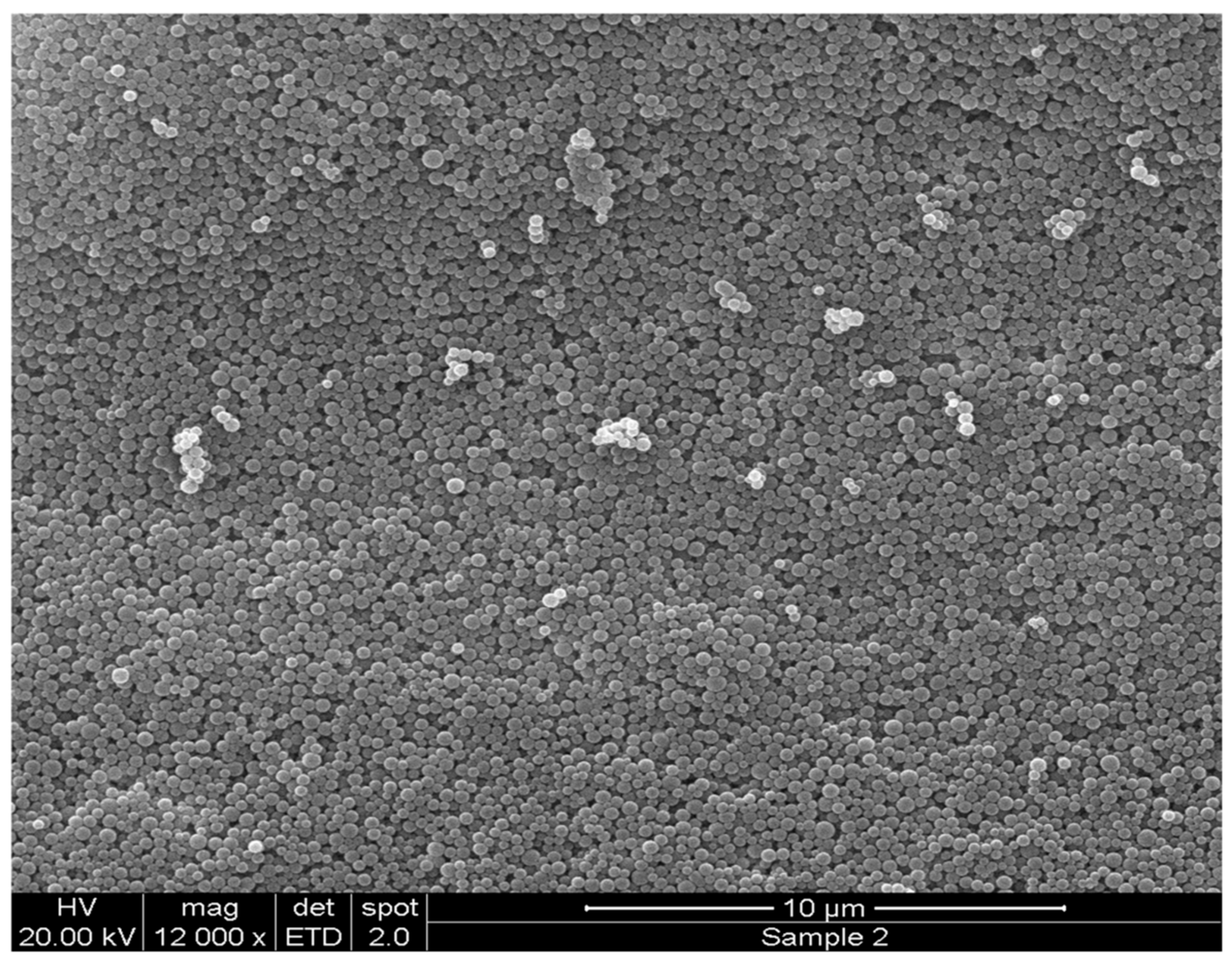 Cancers 11 00222 g002 Cancers 11 00222 g002