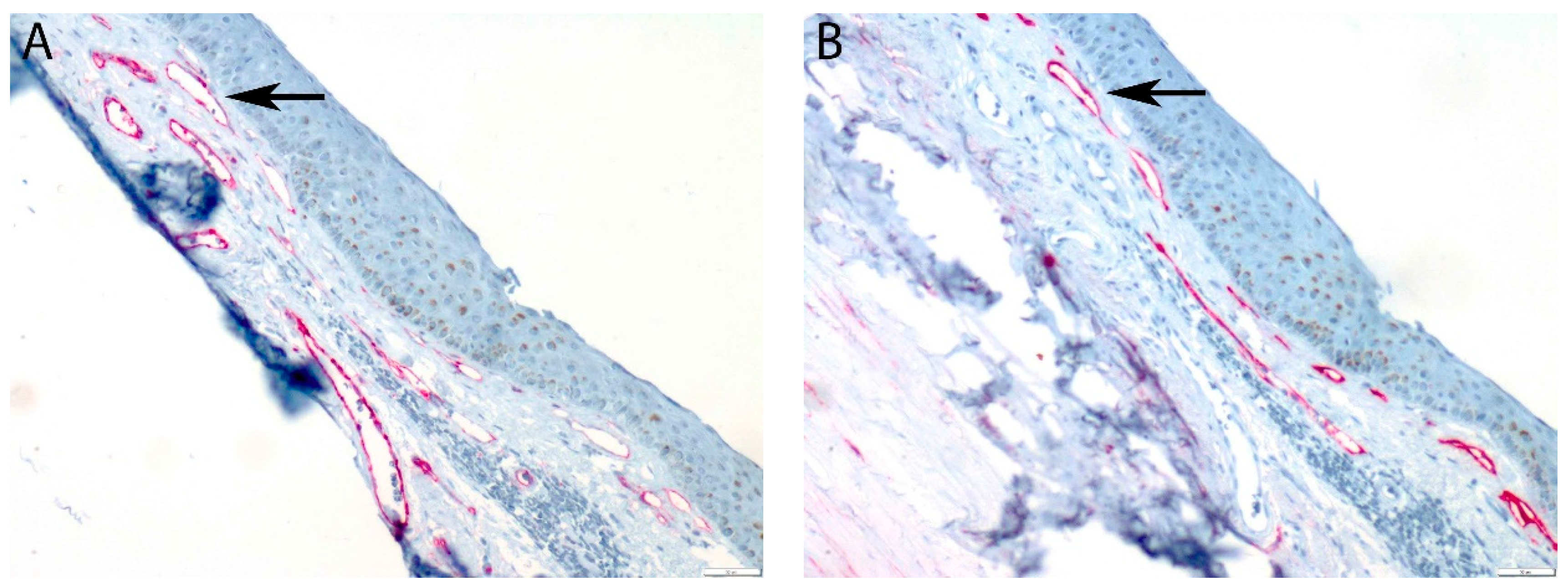 Cancers 11 00228 g0a3a