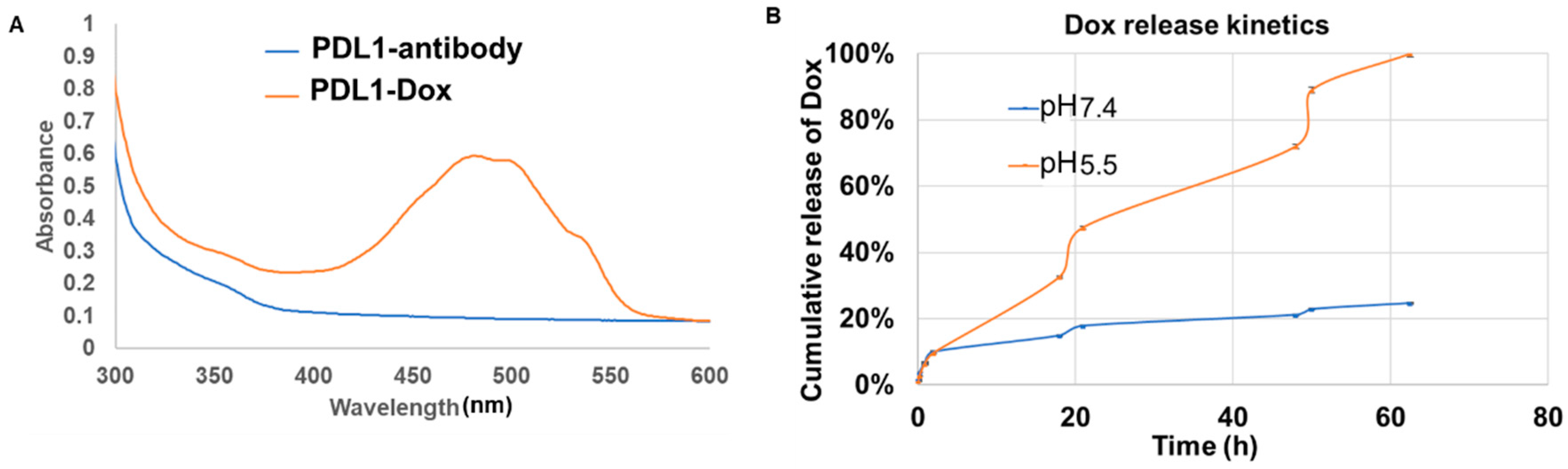 Cancers 11 00232 g002 Cancers 11 00232 g002
