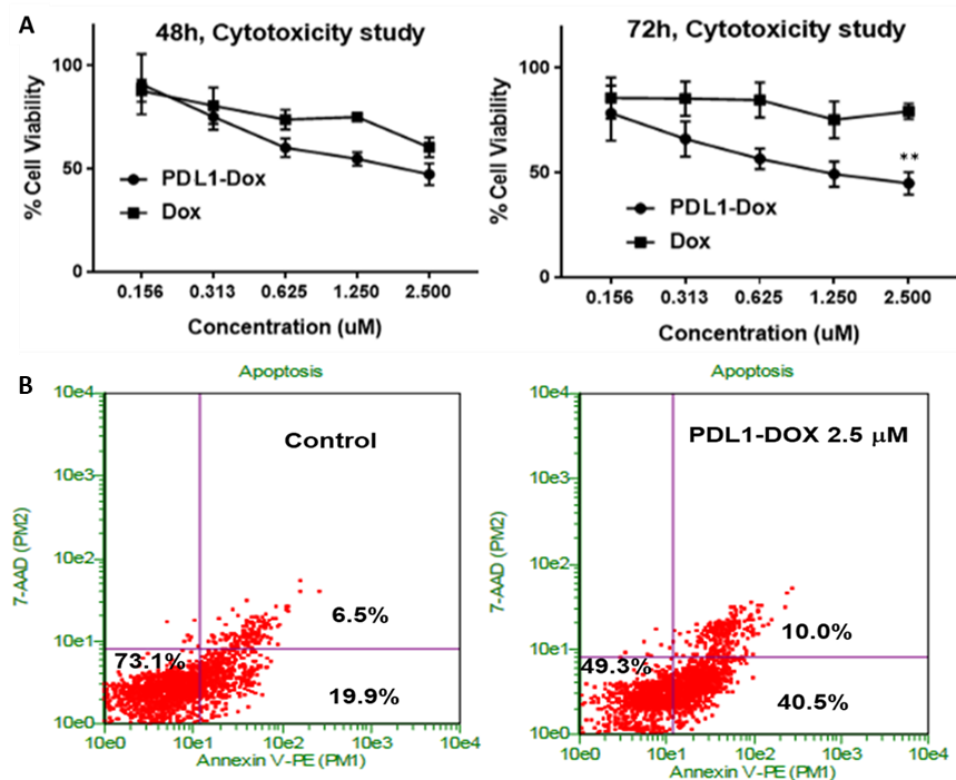 Cancers 11 00232 g003 Cancers 11 00232 g003