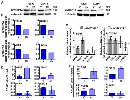 ベクター Z-VEX Vertical Box of Rock ｜イケベ楽器店オンラインストア