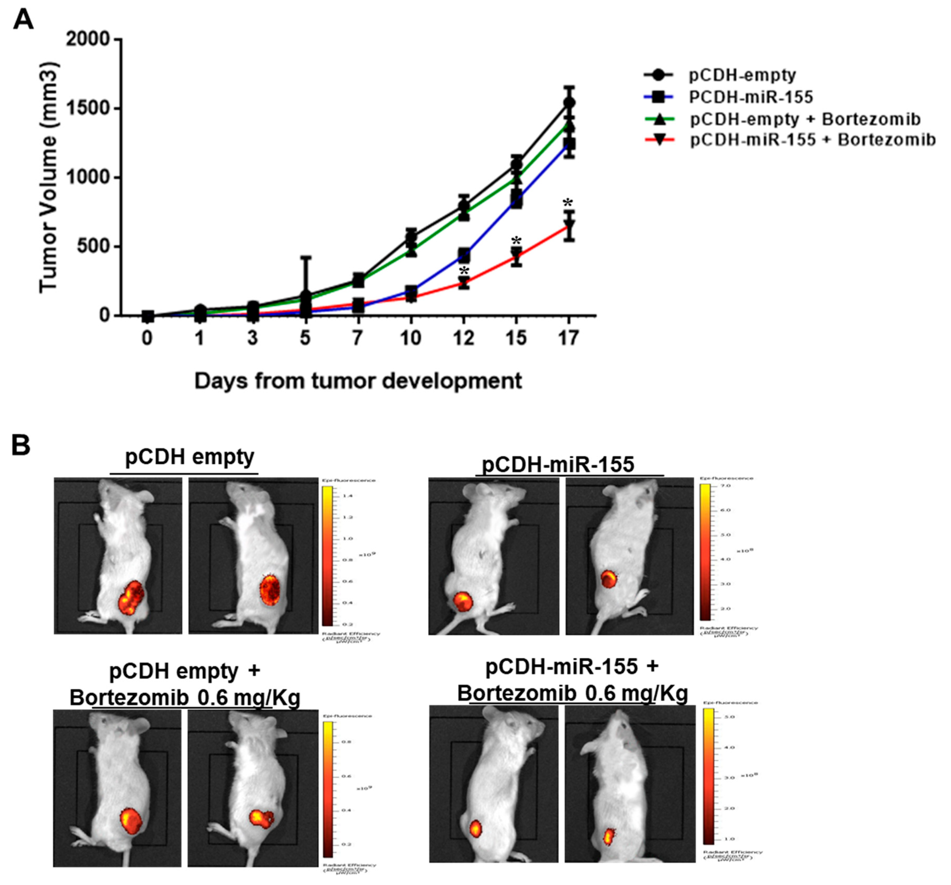 Cancers 11 00236 g004 Cancers 11 00236 g004