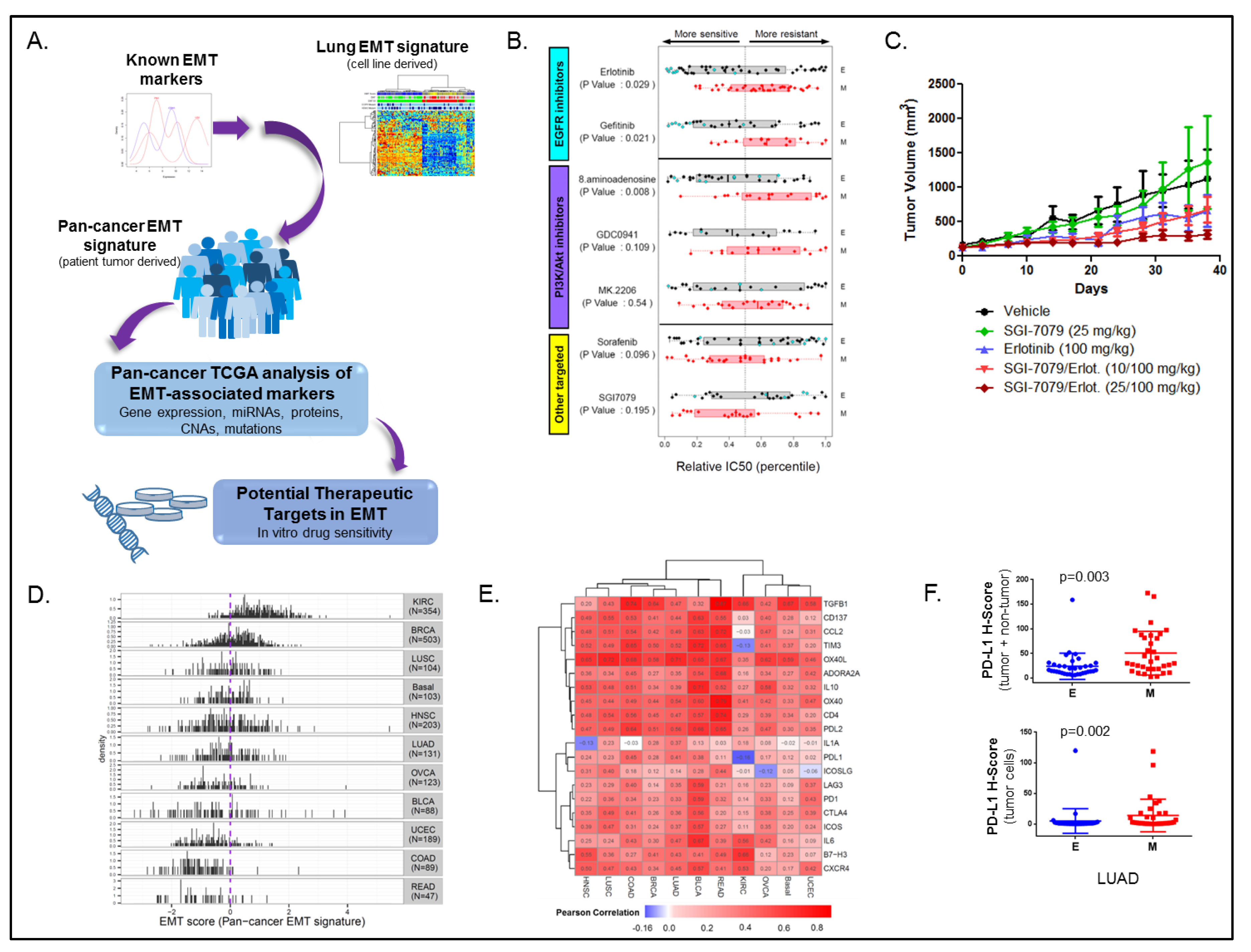 Cancers 11 00239 g001 Cancers 11 00239 g001