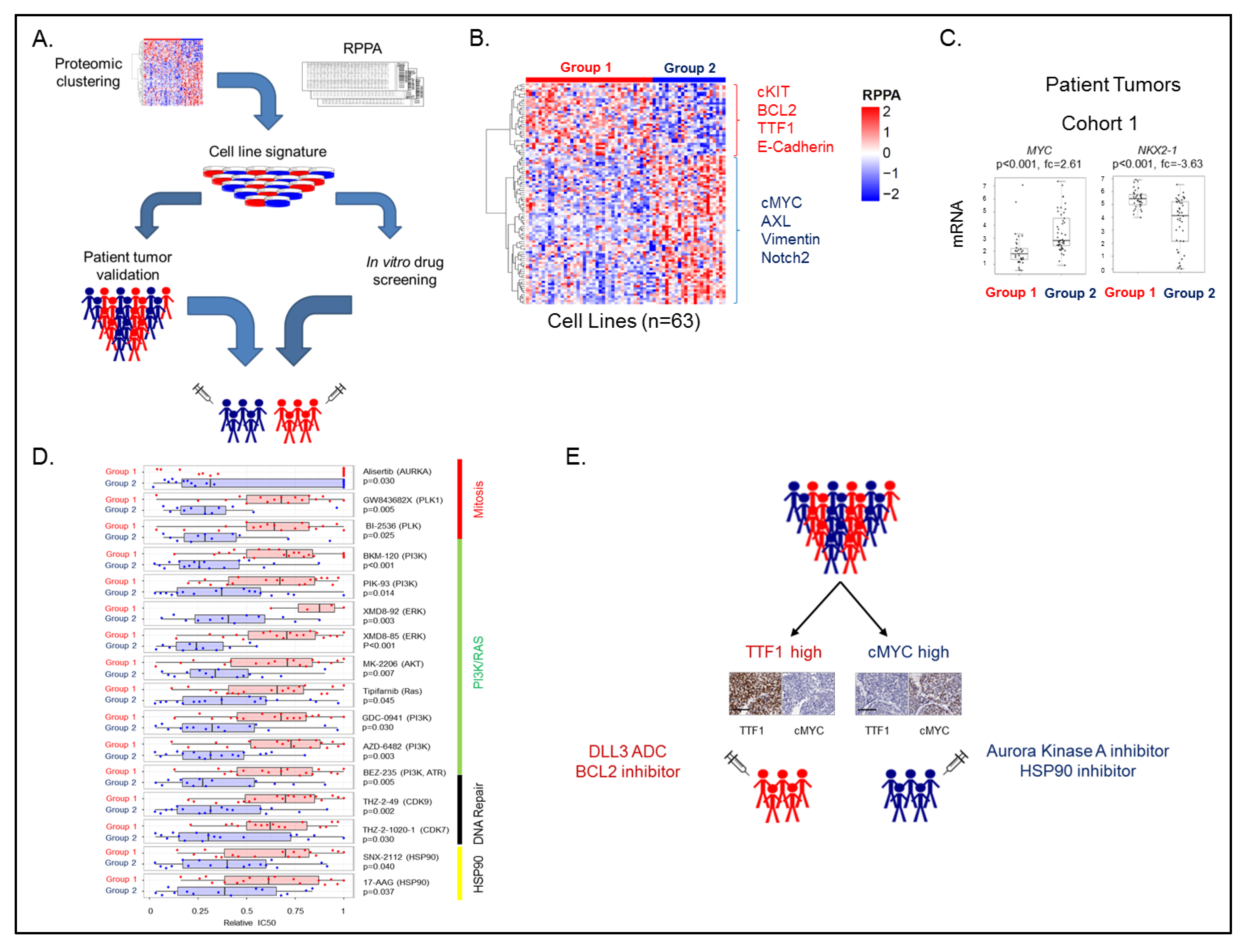 Cancers 11 00239 g002 Cancers 11 00239 g002