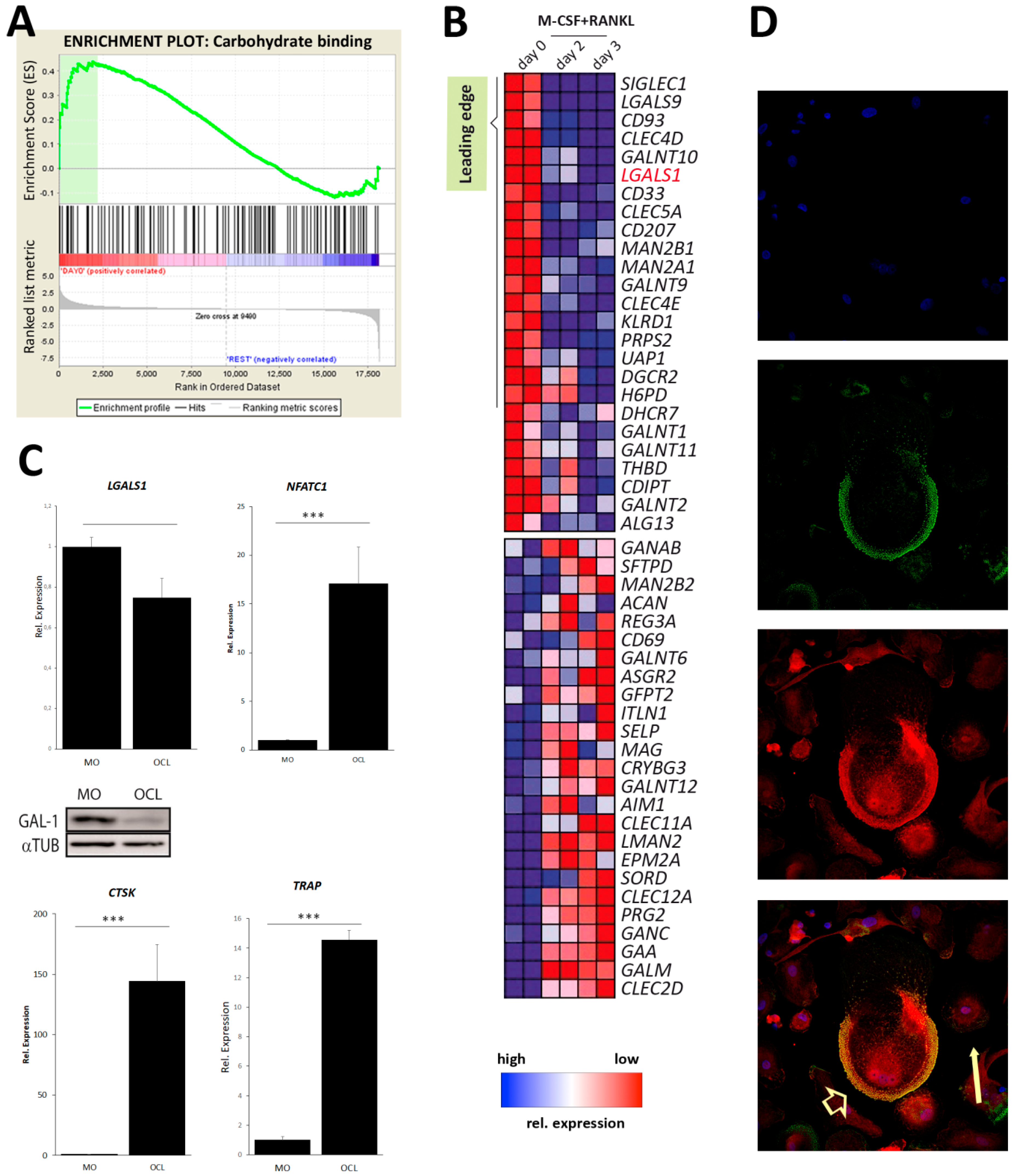 Cancers 11 00261 g001 Cancers 11 00261 g001