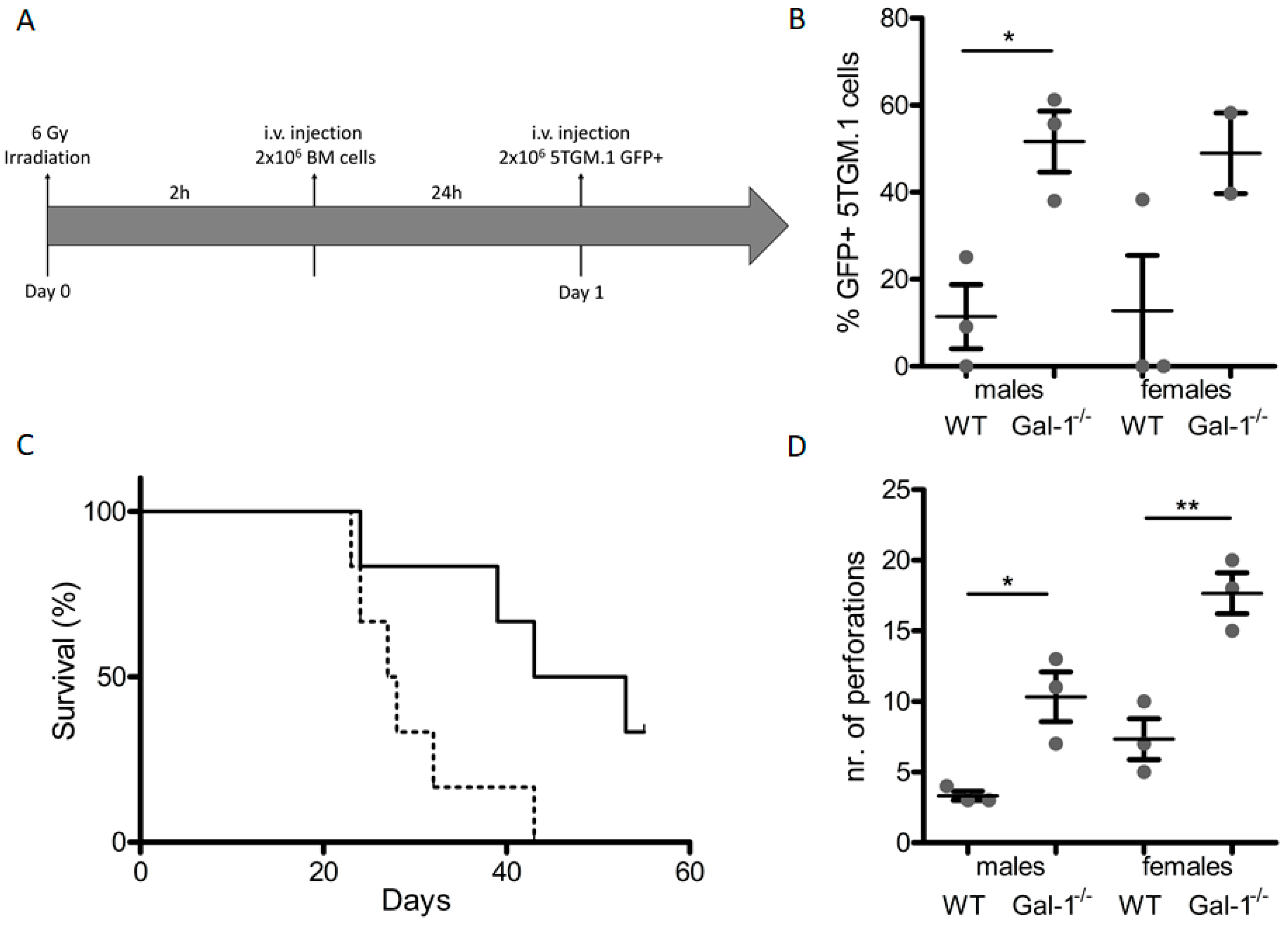 Cancers 11 00261 g004 Cancers 11 00261 g004