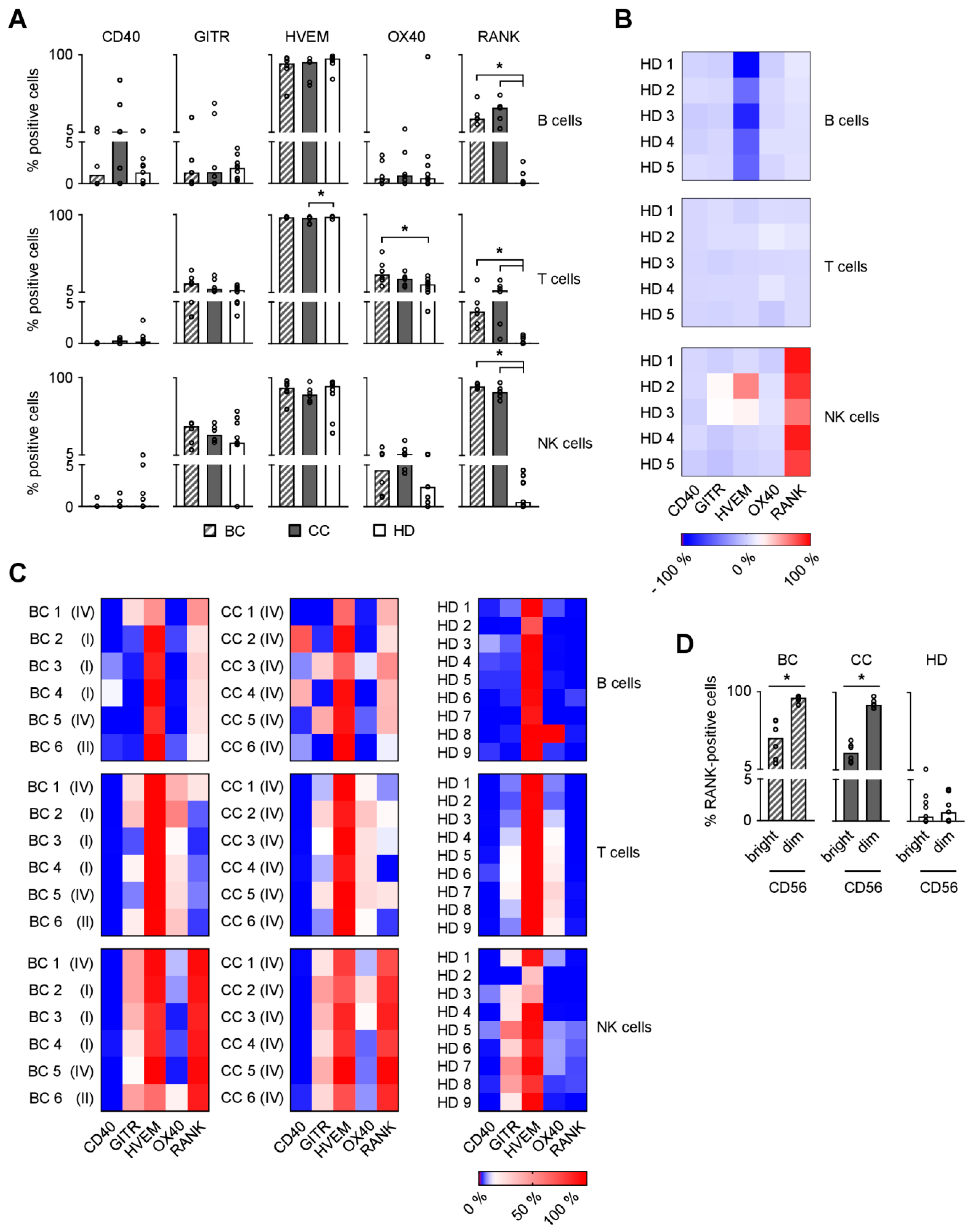 Cancers 11 00277 g001