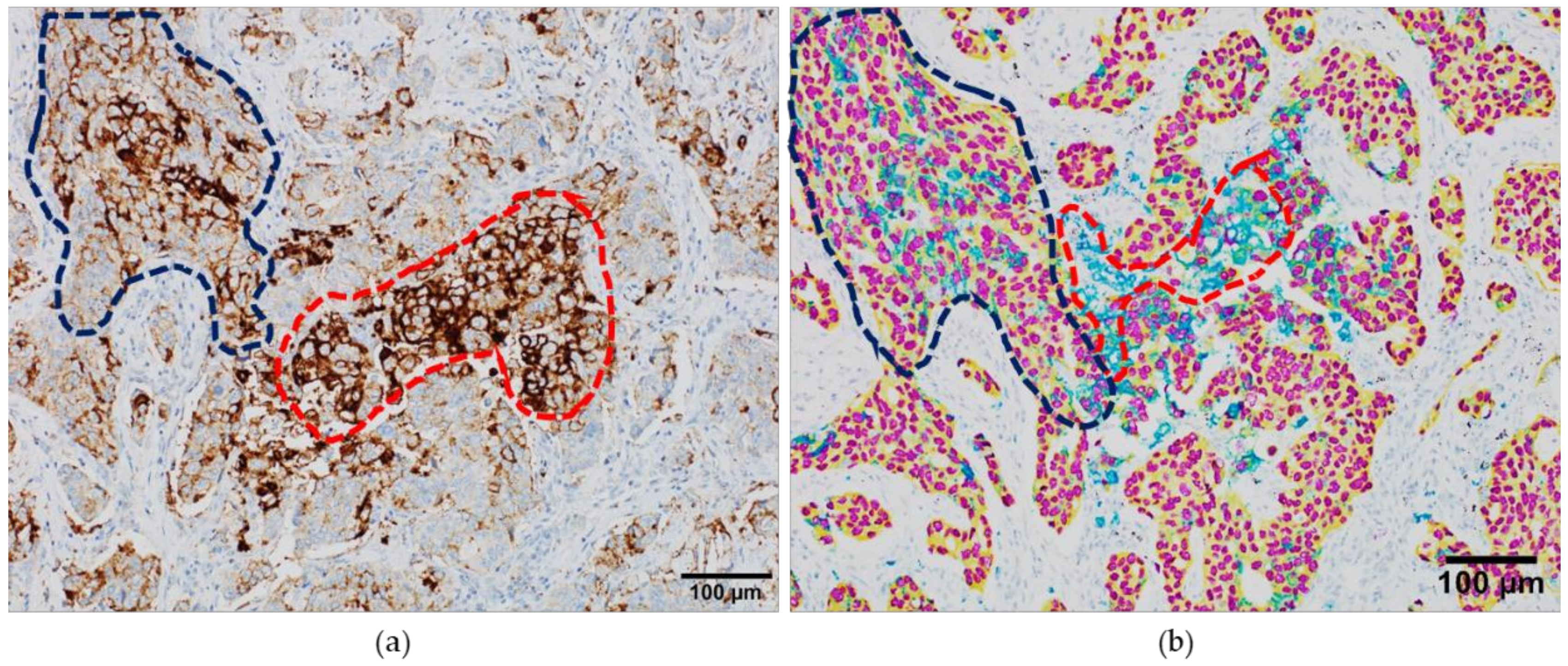 Cancers 11 00283 g003 Cancers 11 00283 g003