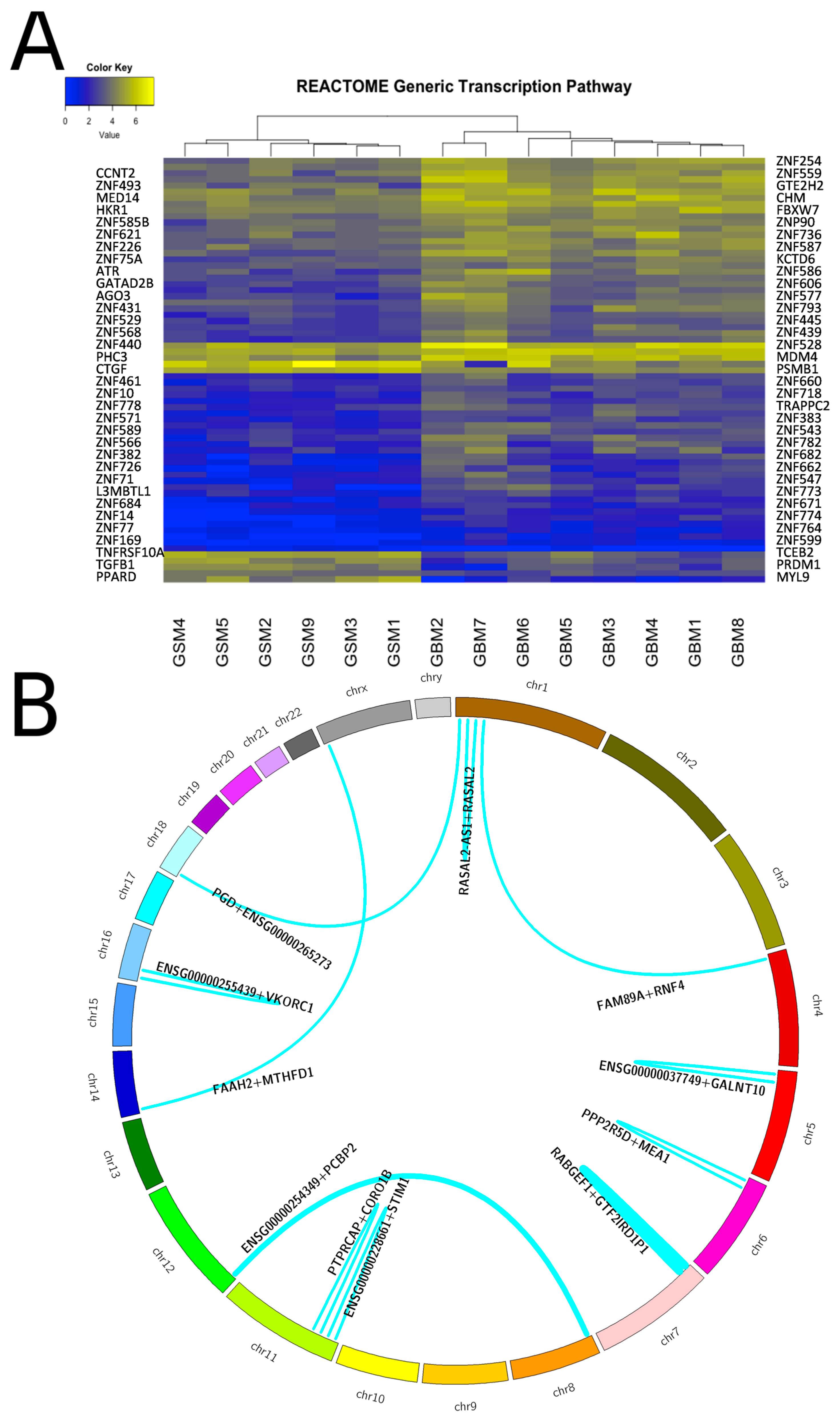 Cancers 11 00284 g005