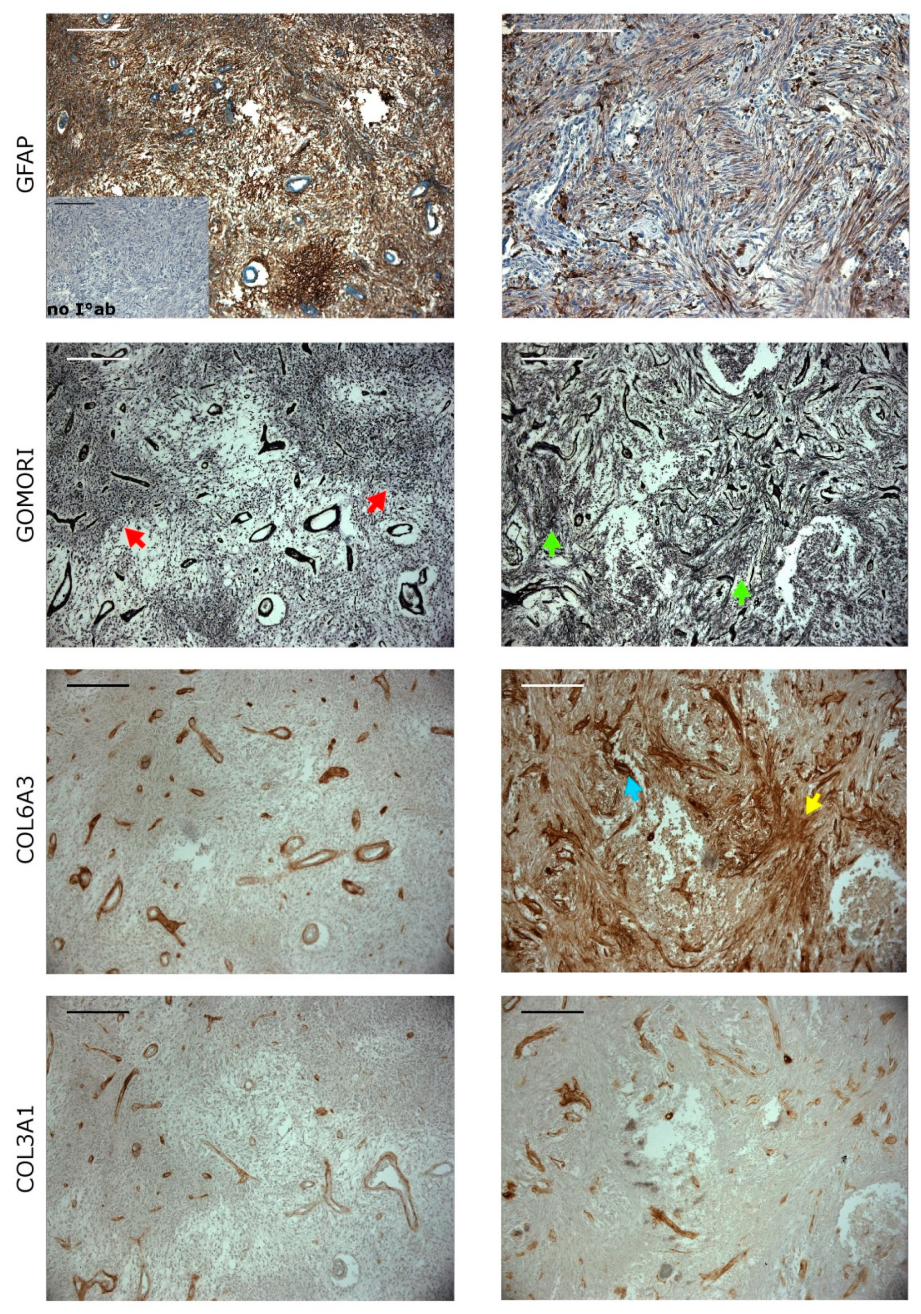 Cancers 11 00284 g006