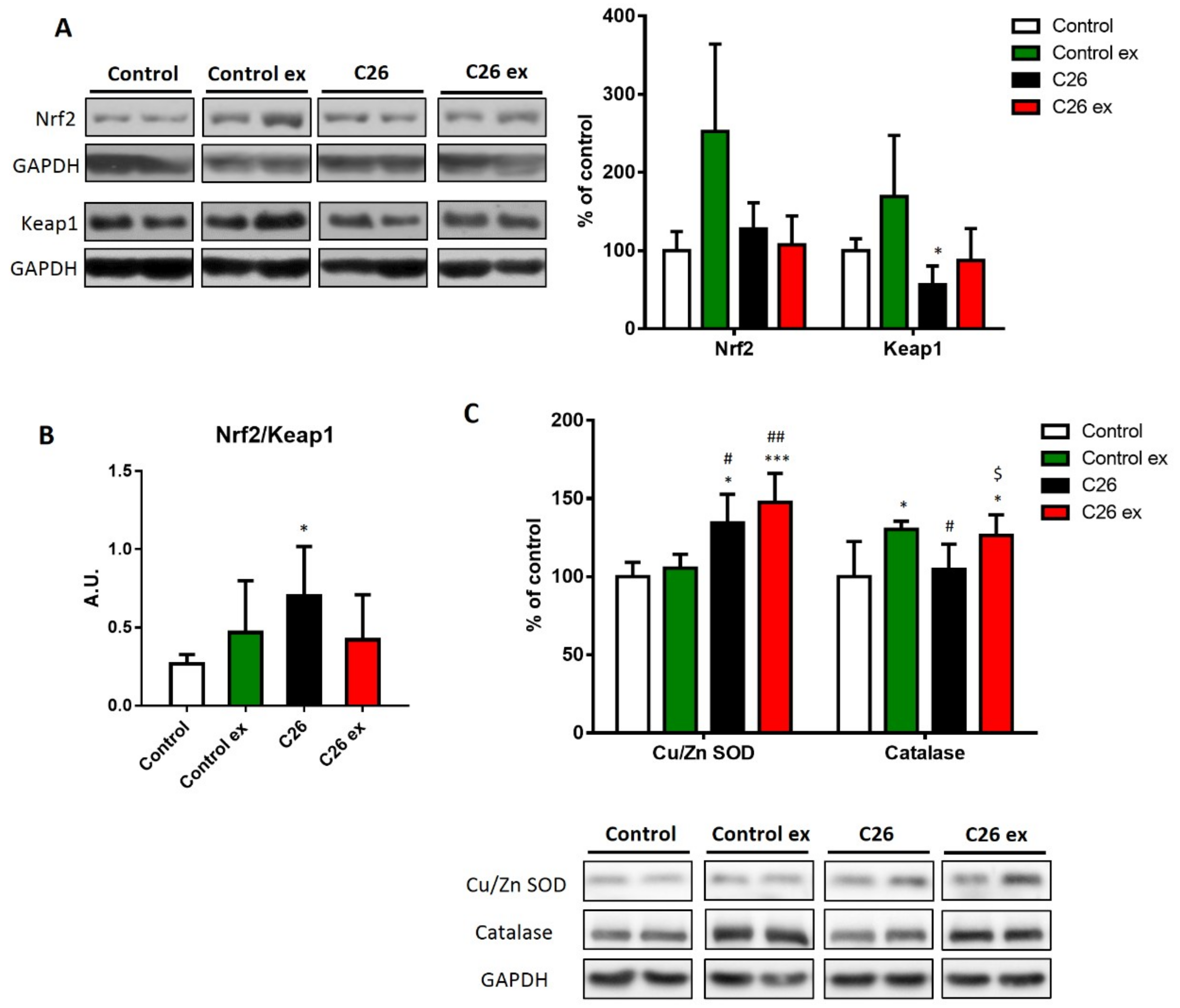 Cancers 11 00285 g004a