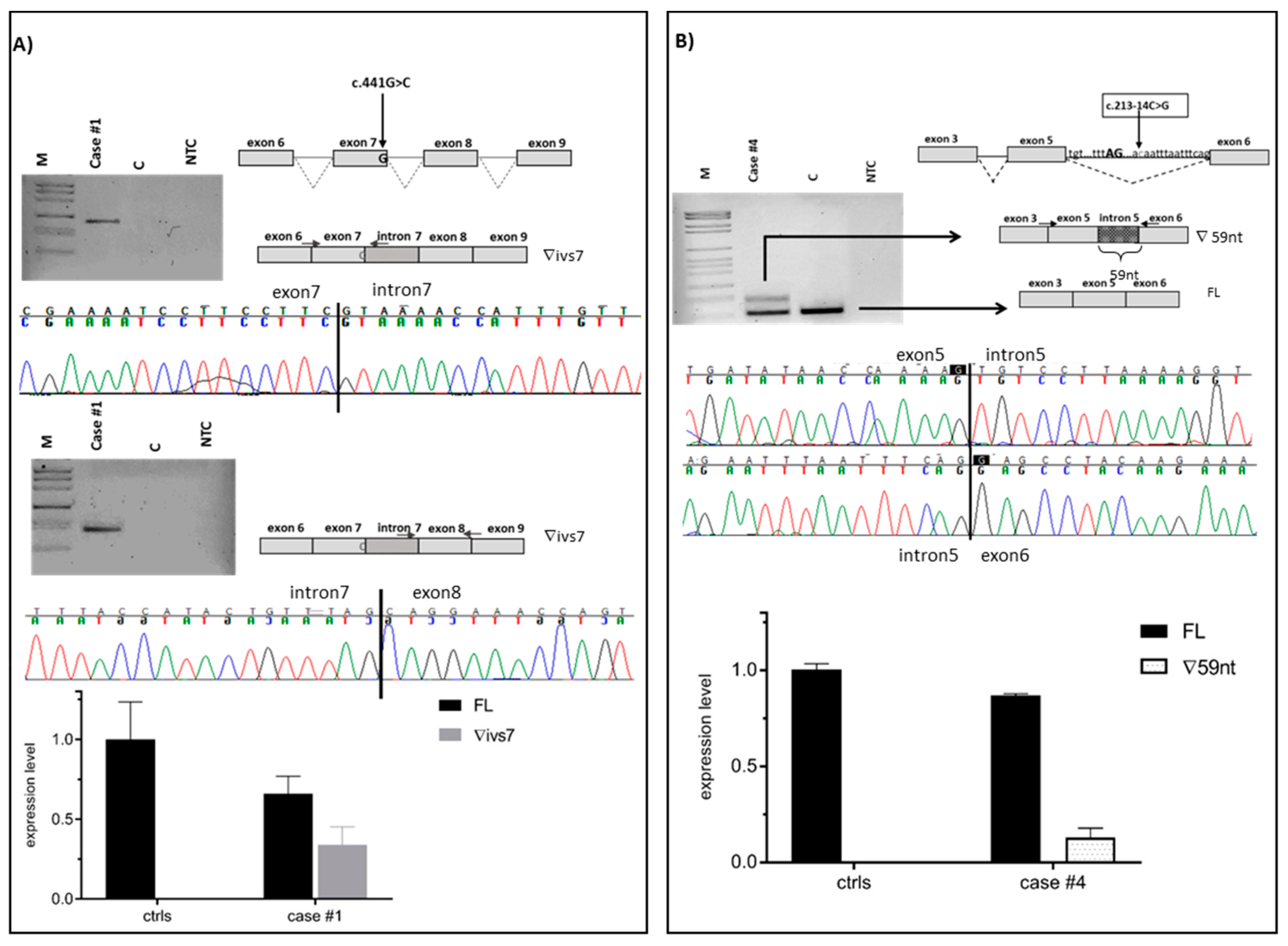 Cancers 11 00295 g001
