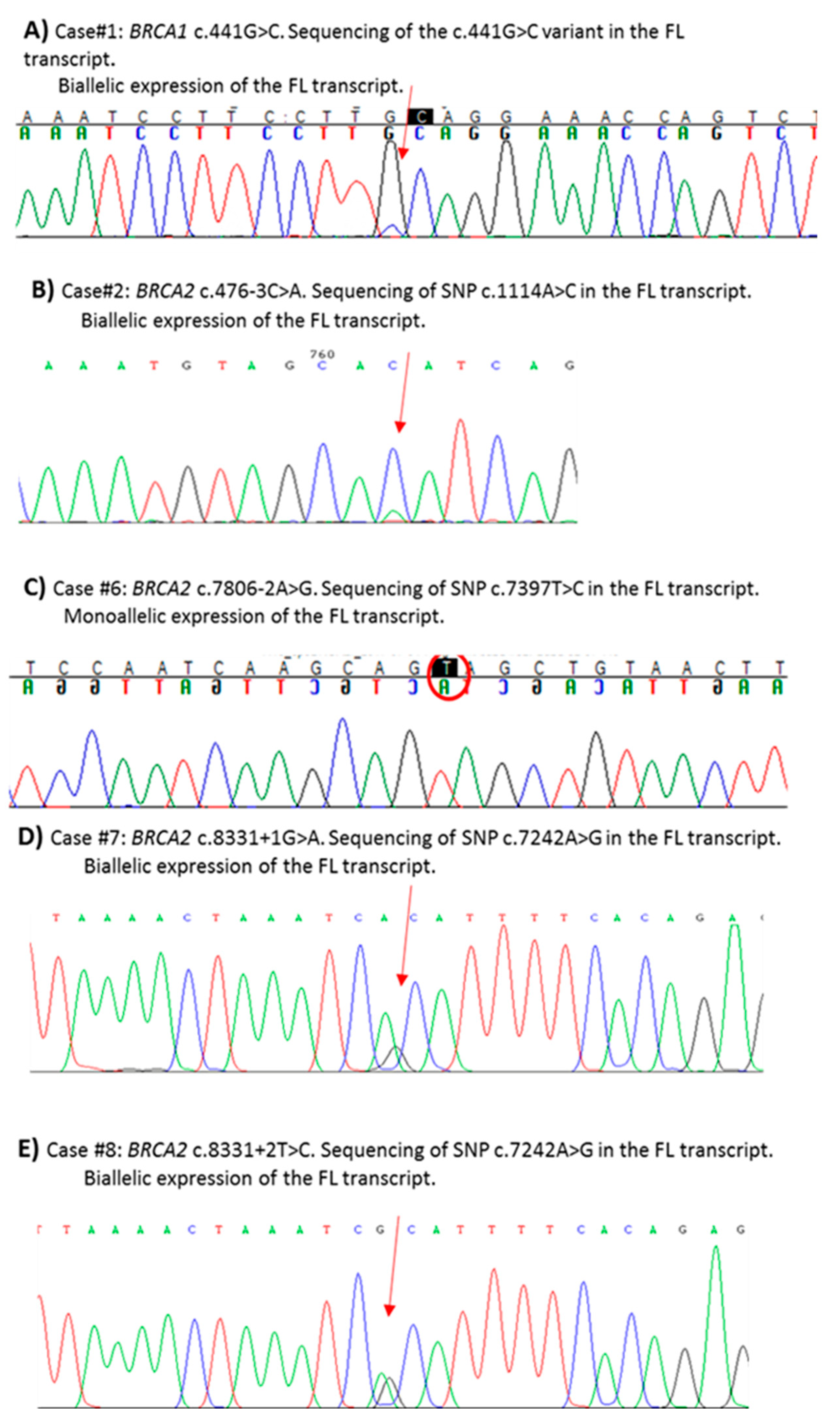 Cancers 11 00295 g004