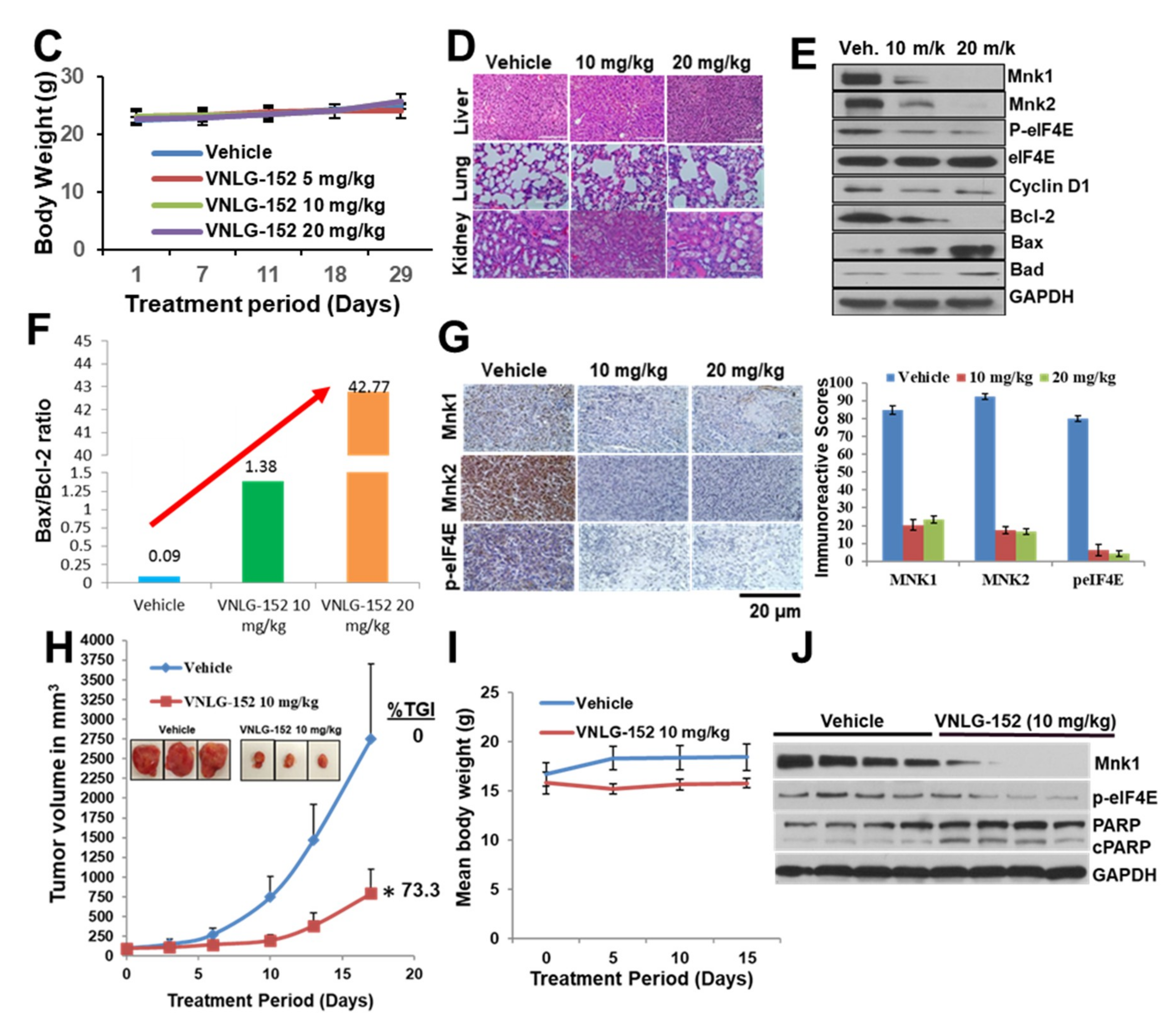 Cancers 11 00299 g004b
