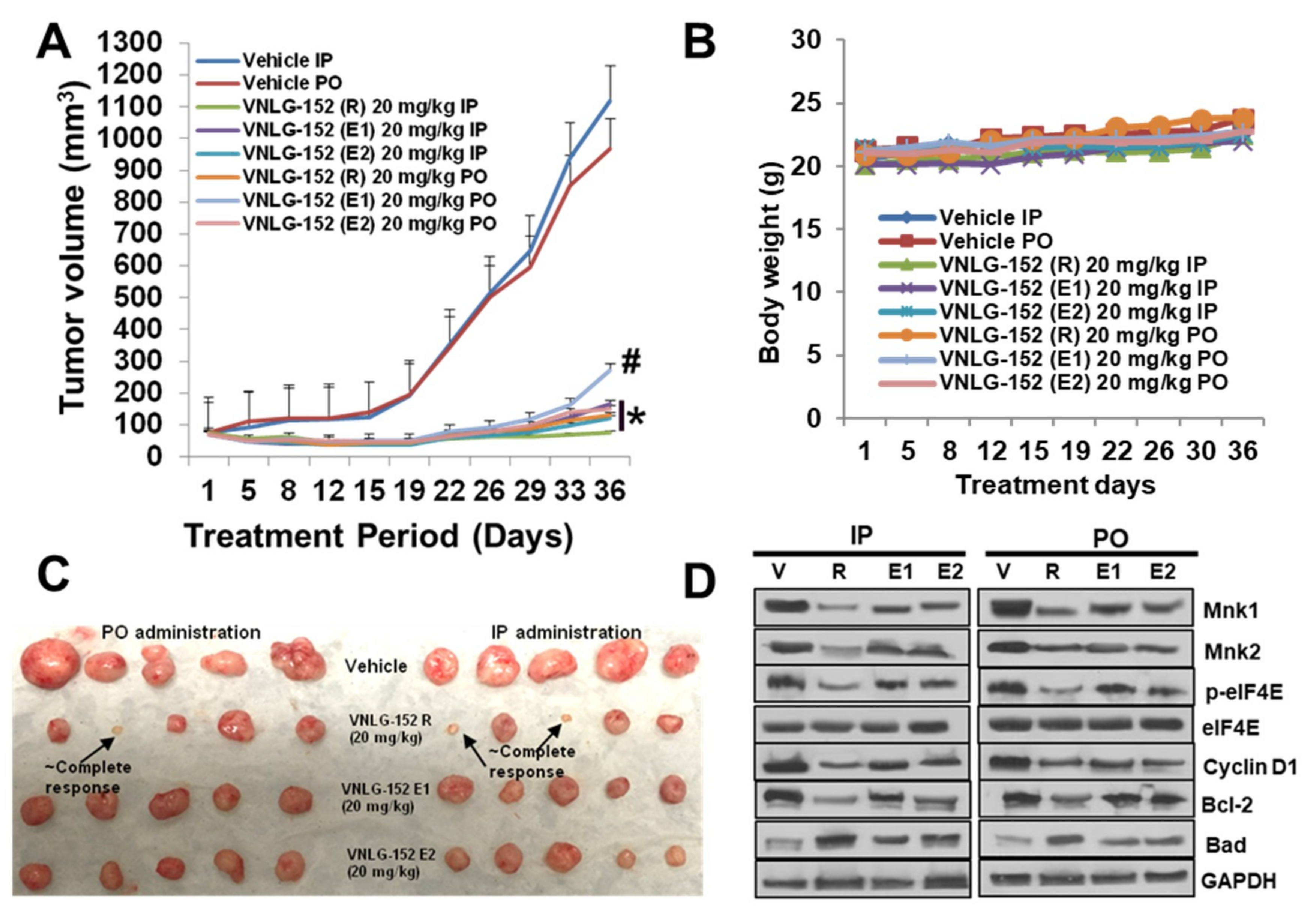 Cancers 11 00299 g005a