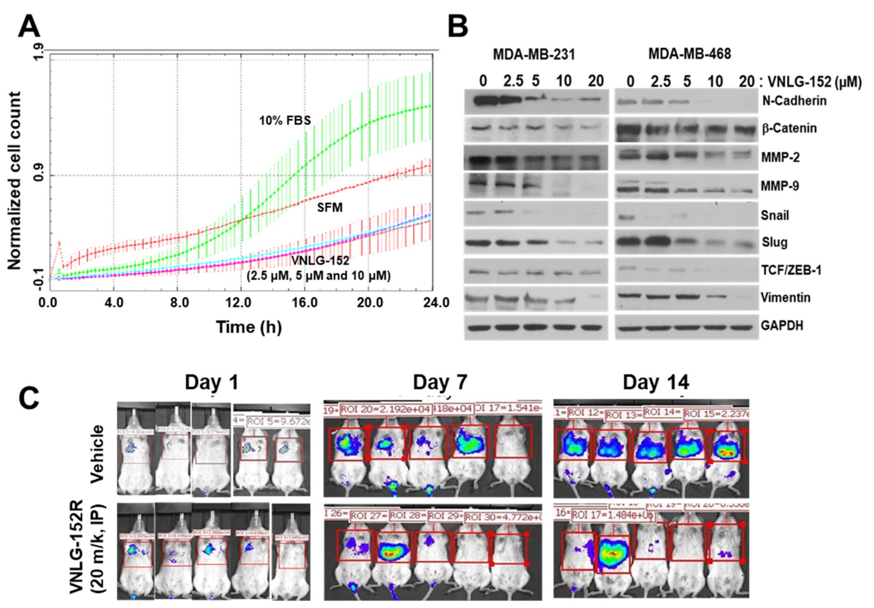Cancers 11 00299 g006