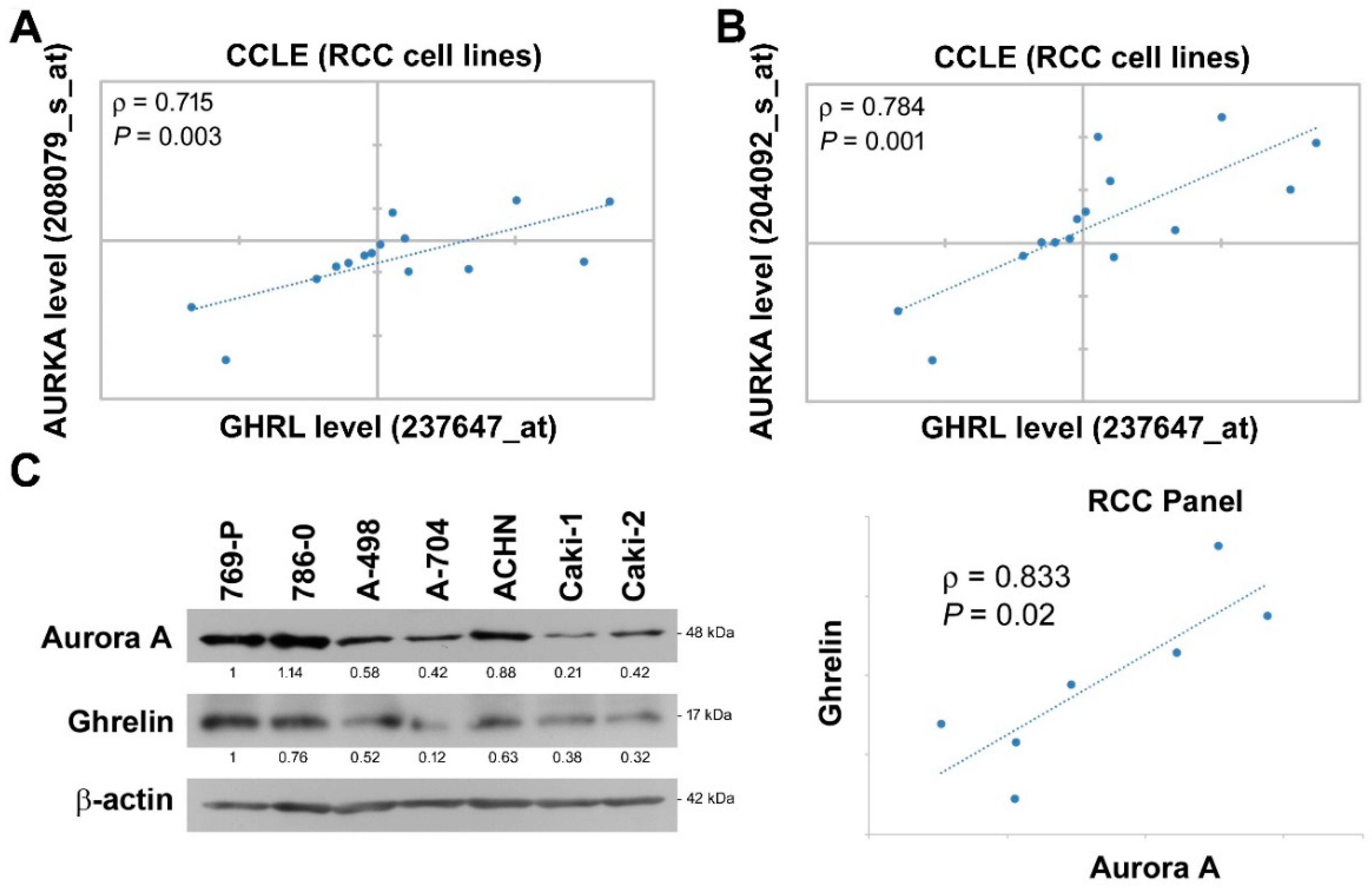 Cancers 11 00303 g003