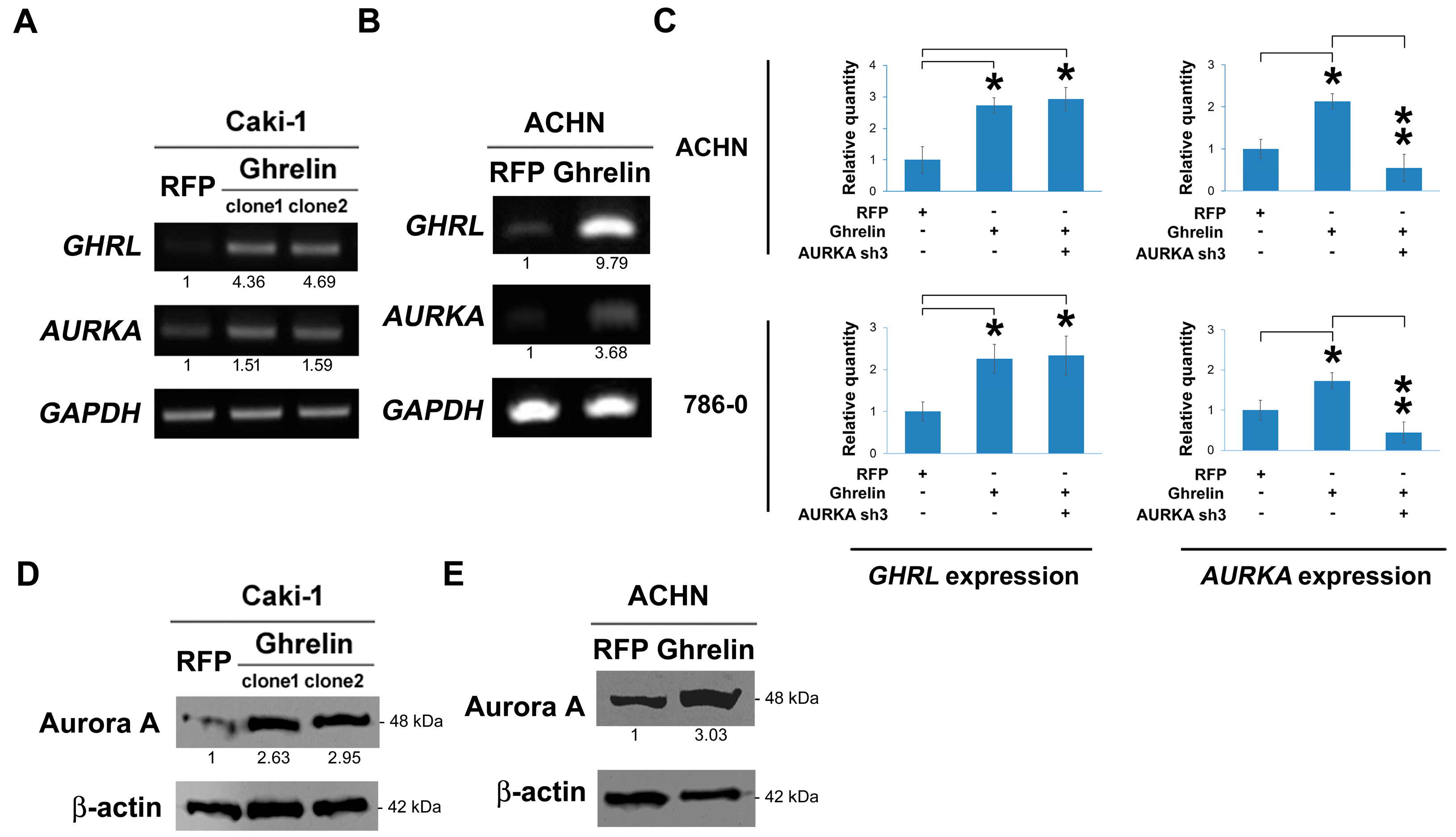Cancers 11 00303 g004